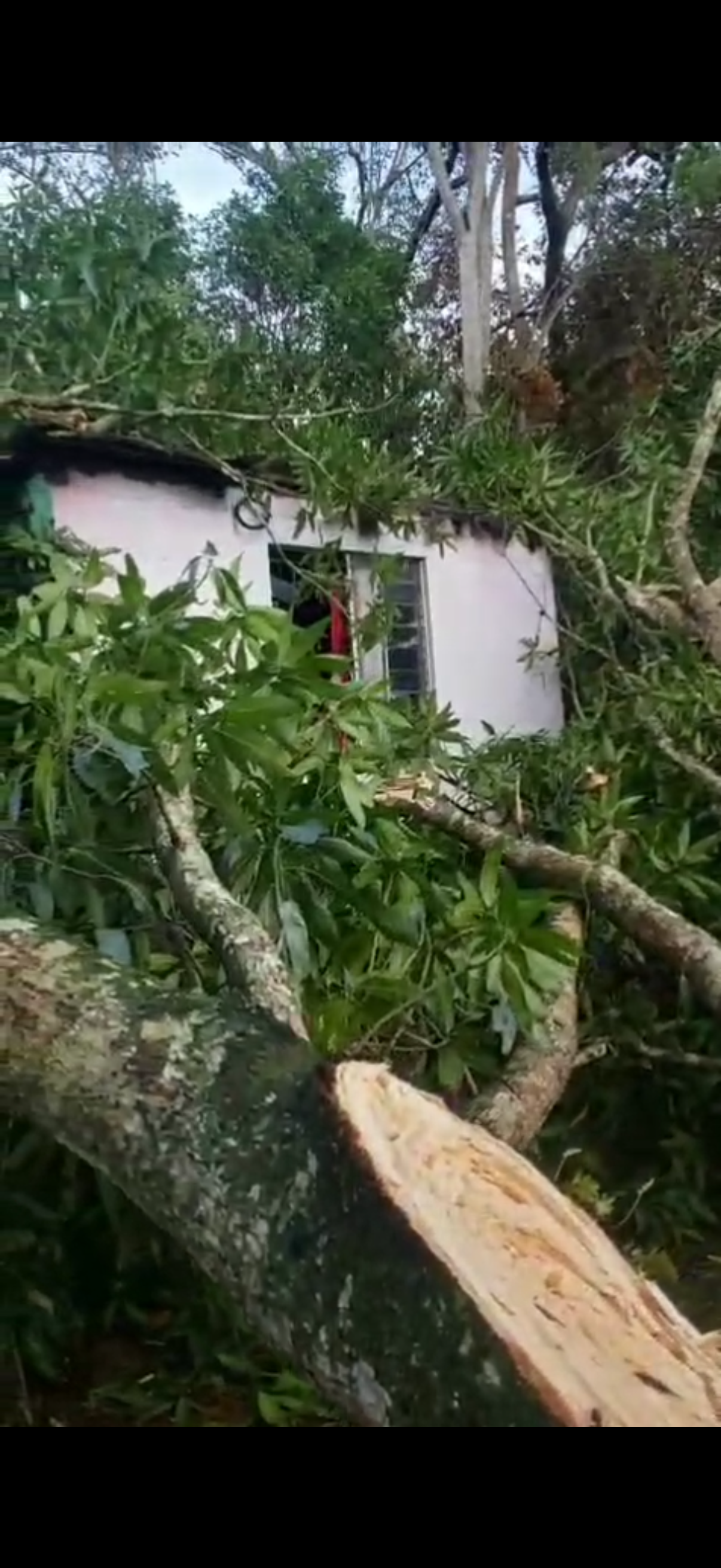 Help Our Jamaican Friends Rebuild After Hurricane Melissa campaign photo, 7 of 8