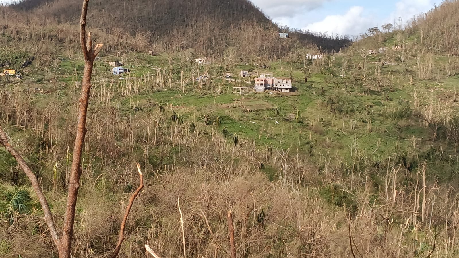 Help Elderslie and the communities of St. Elizabeth, Jamaica campaign photo, 2 of 8