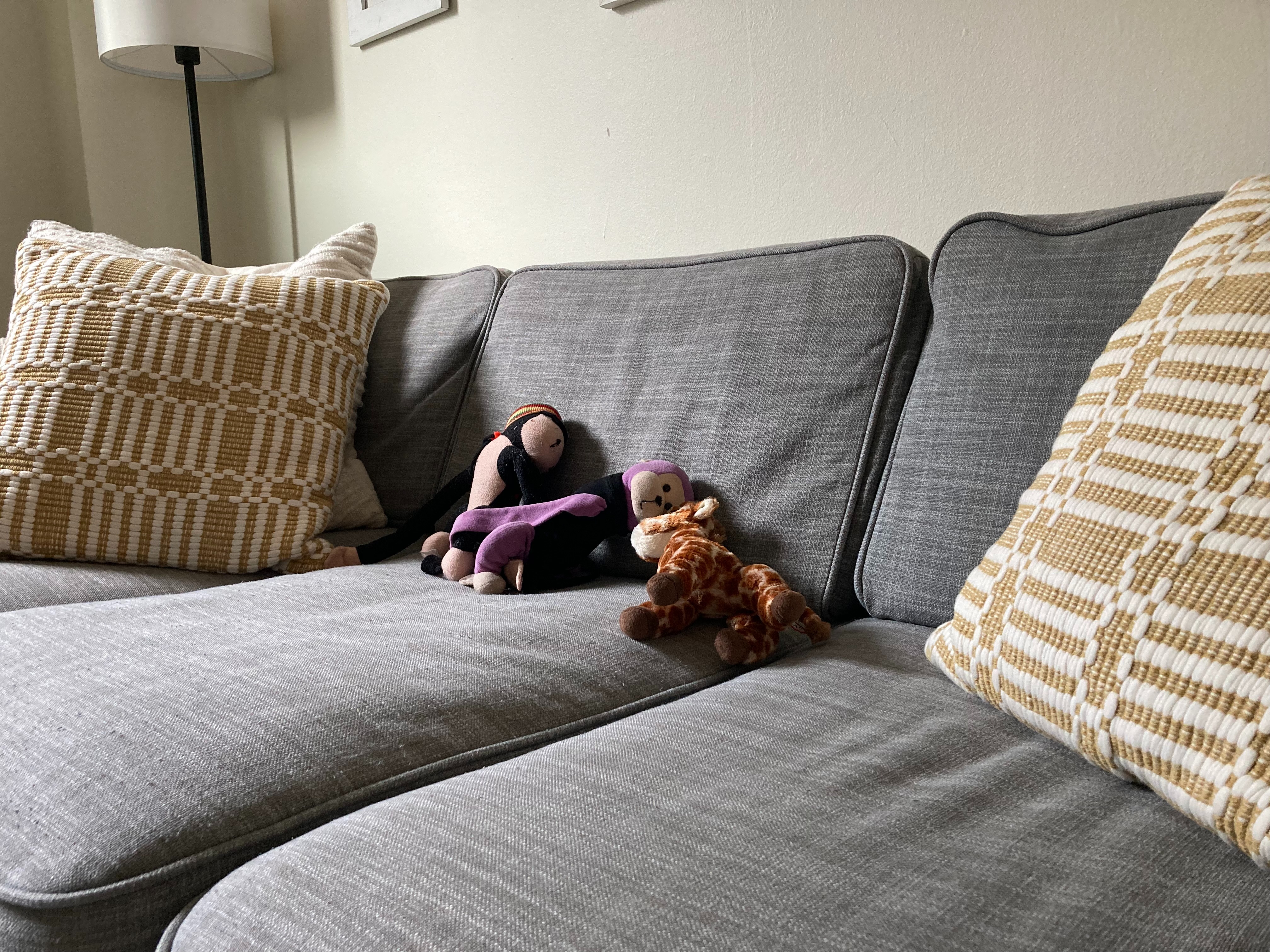 Donate to Keep D & M's Family Safe and Stable campaign photo, 2 of 4