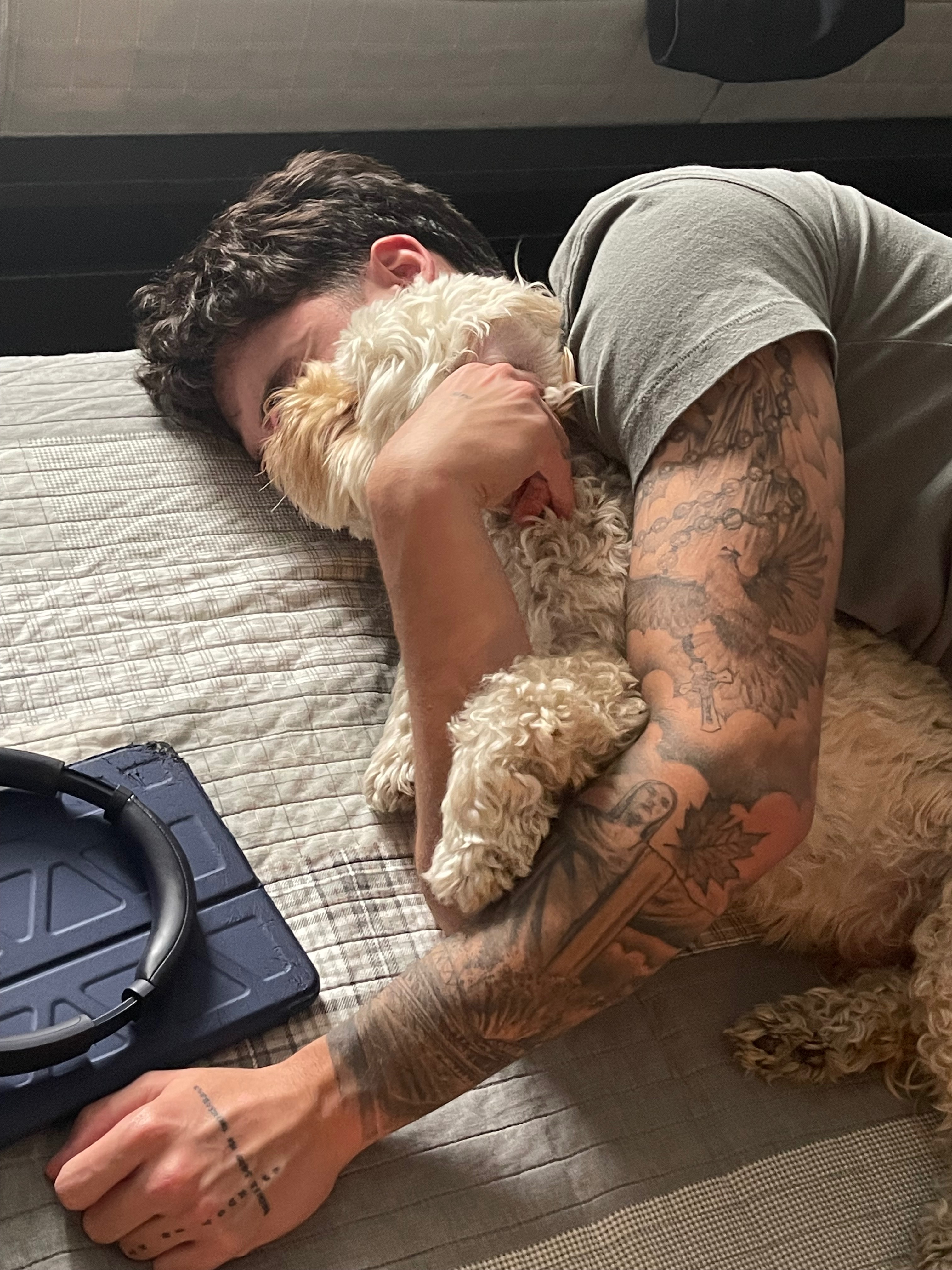 Donate to help for my dogs life saving surgery campaign photo, 2 of 8