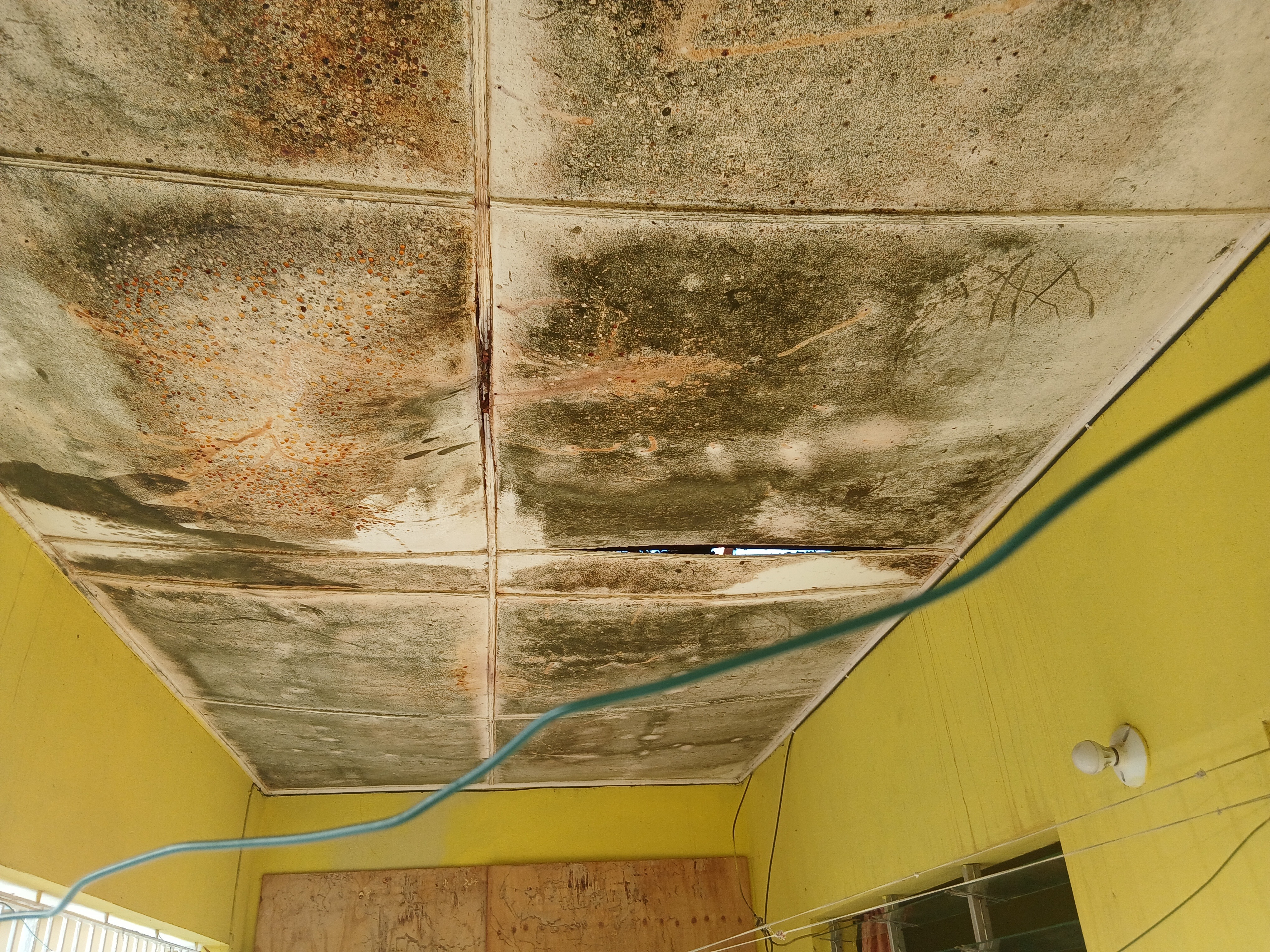 Help Repair Chris Ridgard's Family Home campaign photo, 2 of 7