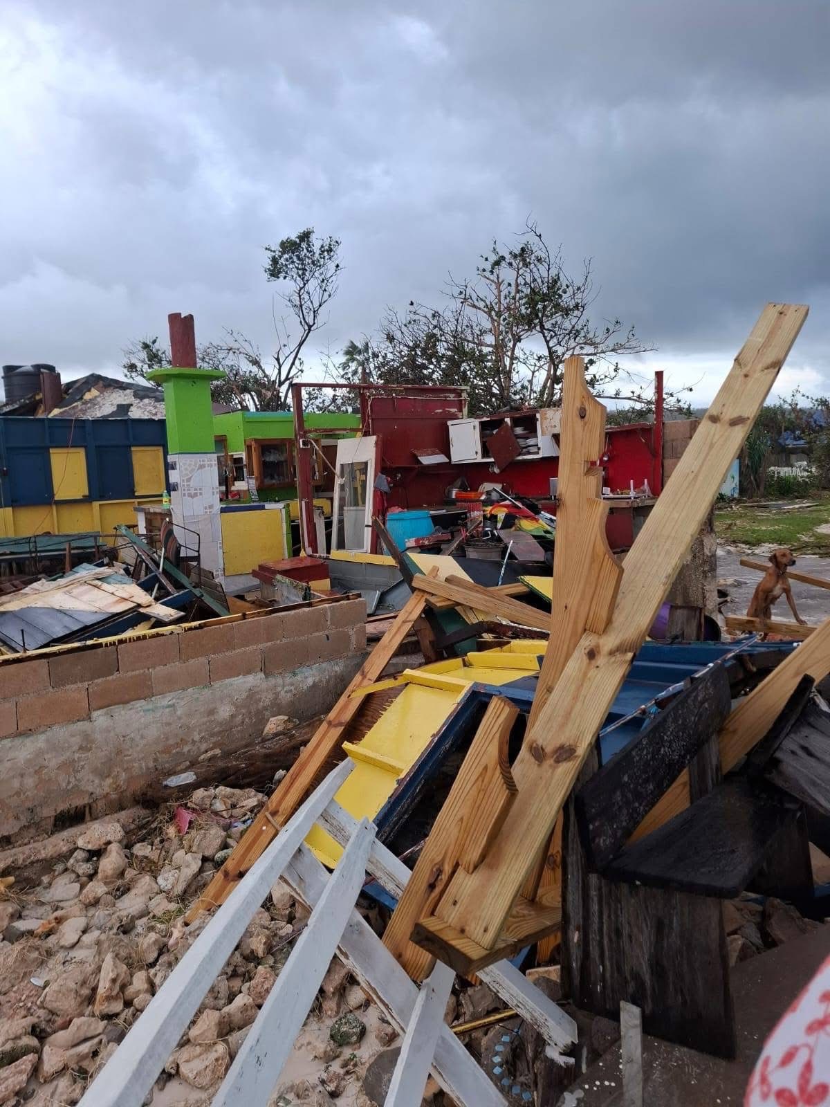 Help Rebuild trelawny Jamaica campaign photo, 5 of 6