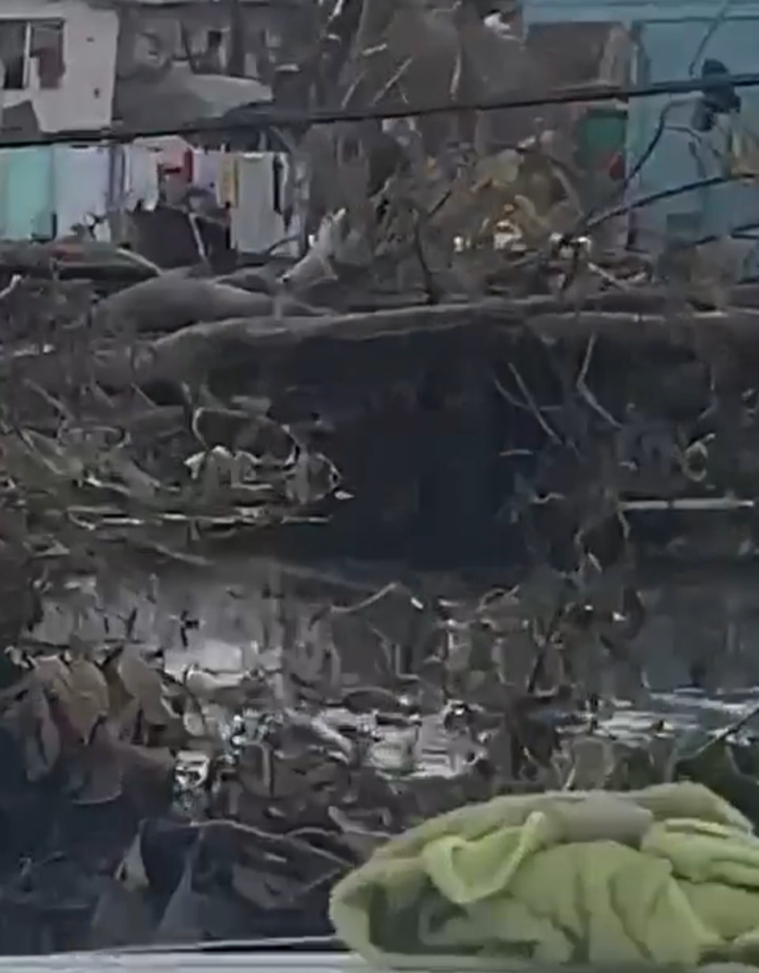 Victim of Melissa hurricane in jamacia campaign photo, 2 of 6