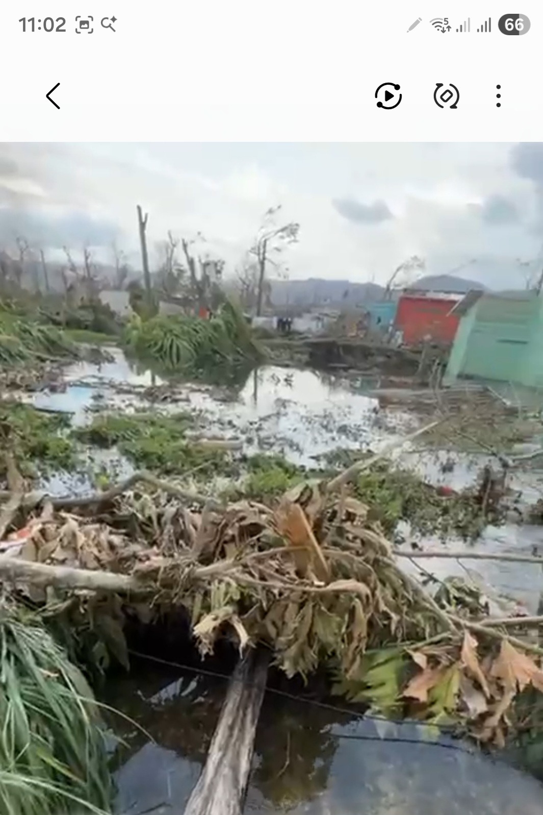 Victim of Melissa hurricane in jamacia campaign photo, 4 of 6