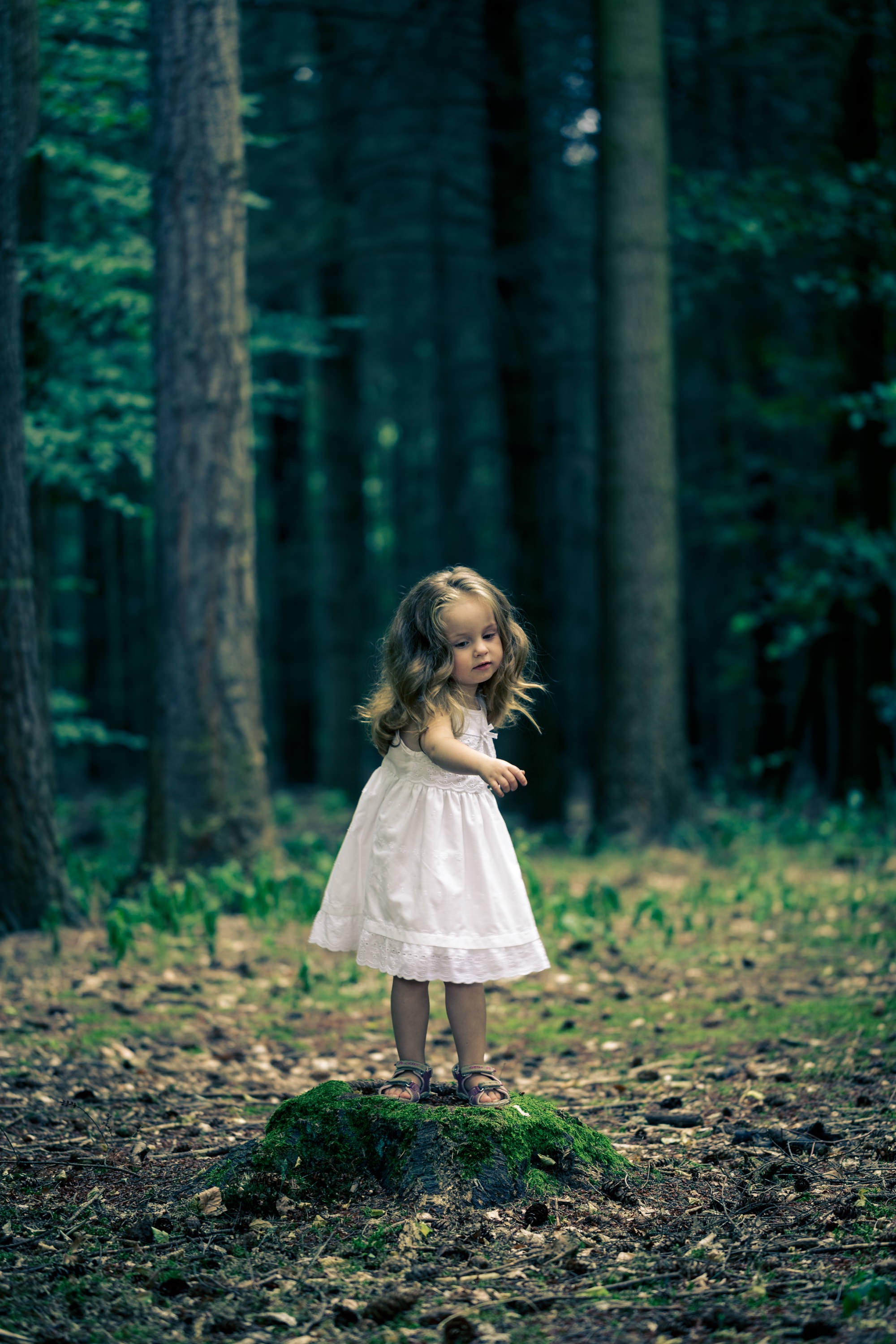 Fotografie ist mein Herz – helft mir, neu zu starten campaign photo, 2 of 7