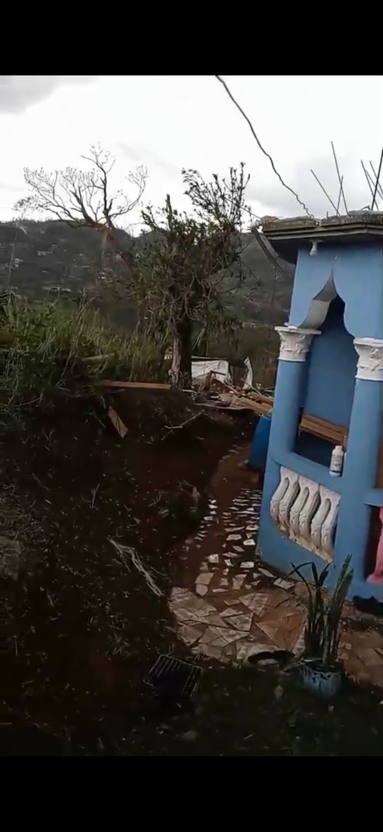 Help Gweneth's Family Rebuild After Hurricane campaign photo, 4 of 8