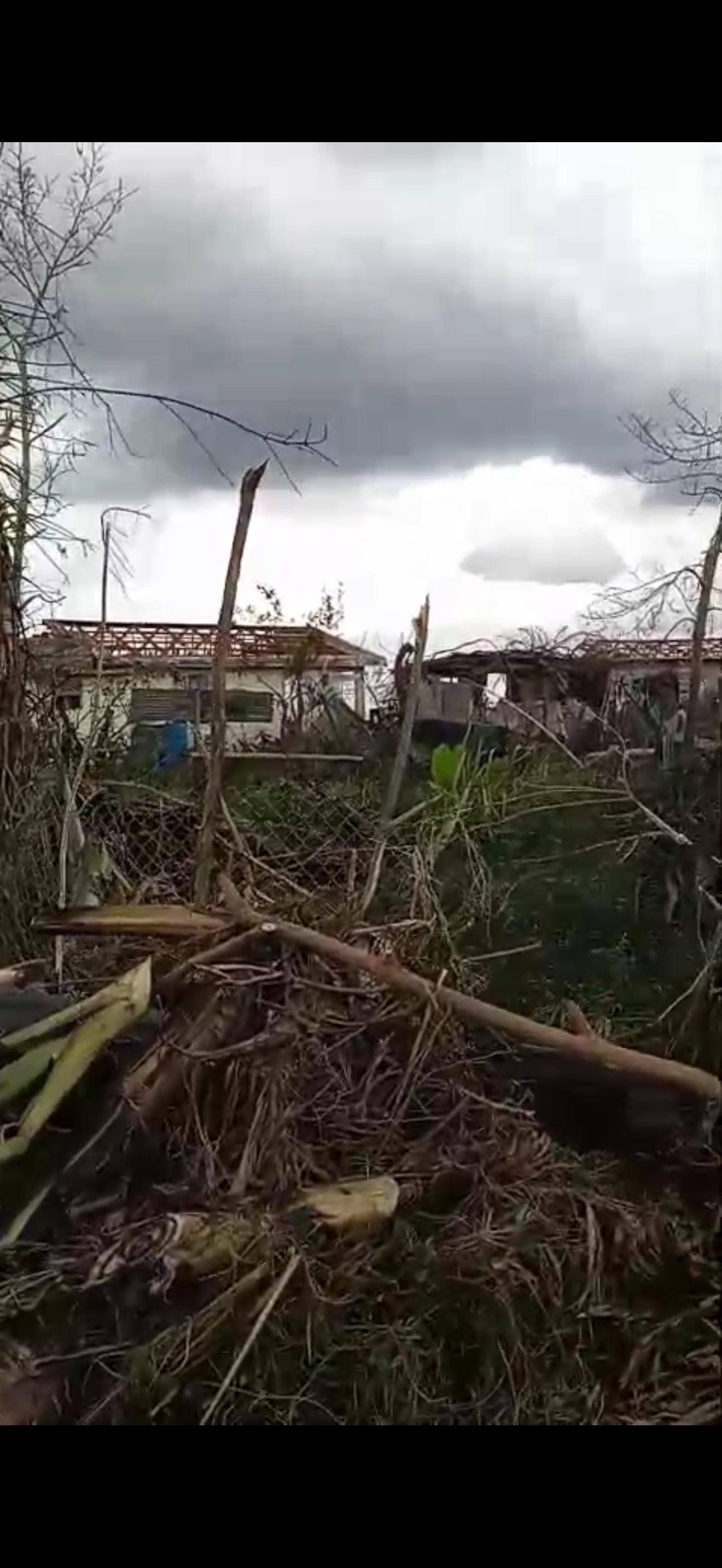 Help Gweneth's Family Rebuild After Hurricane campaign photo, 6 of 8