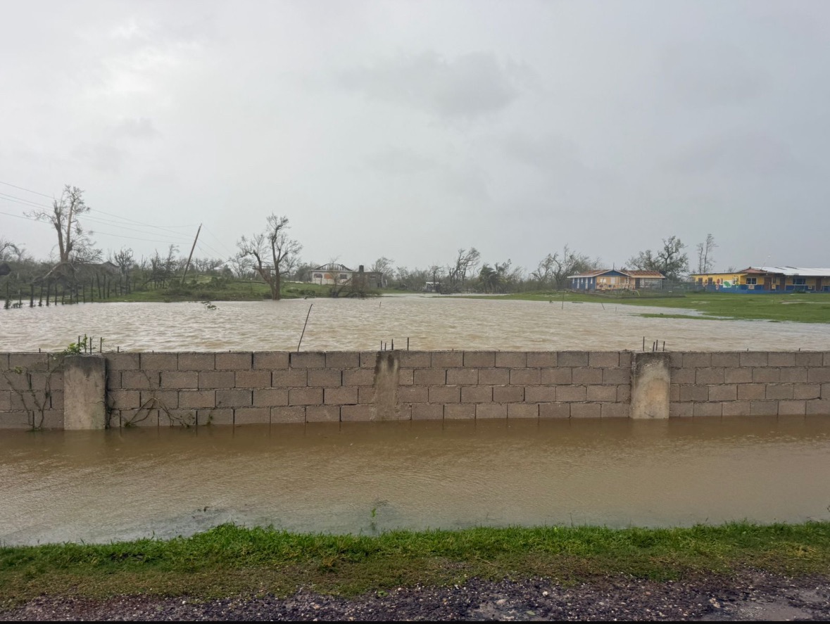 Help Rebuild Arlington-Vineyard St. Elizabeth, Jamaica campaign photo, 5 of 8