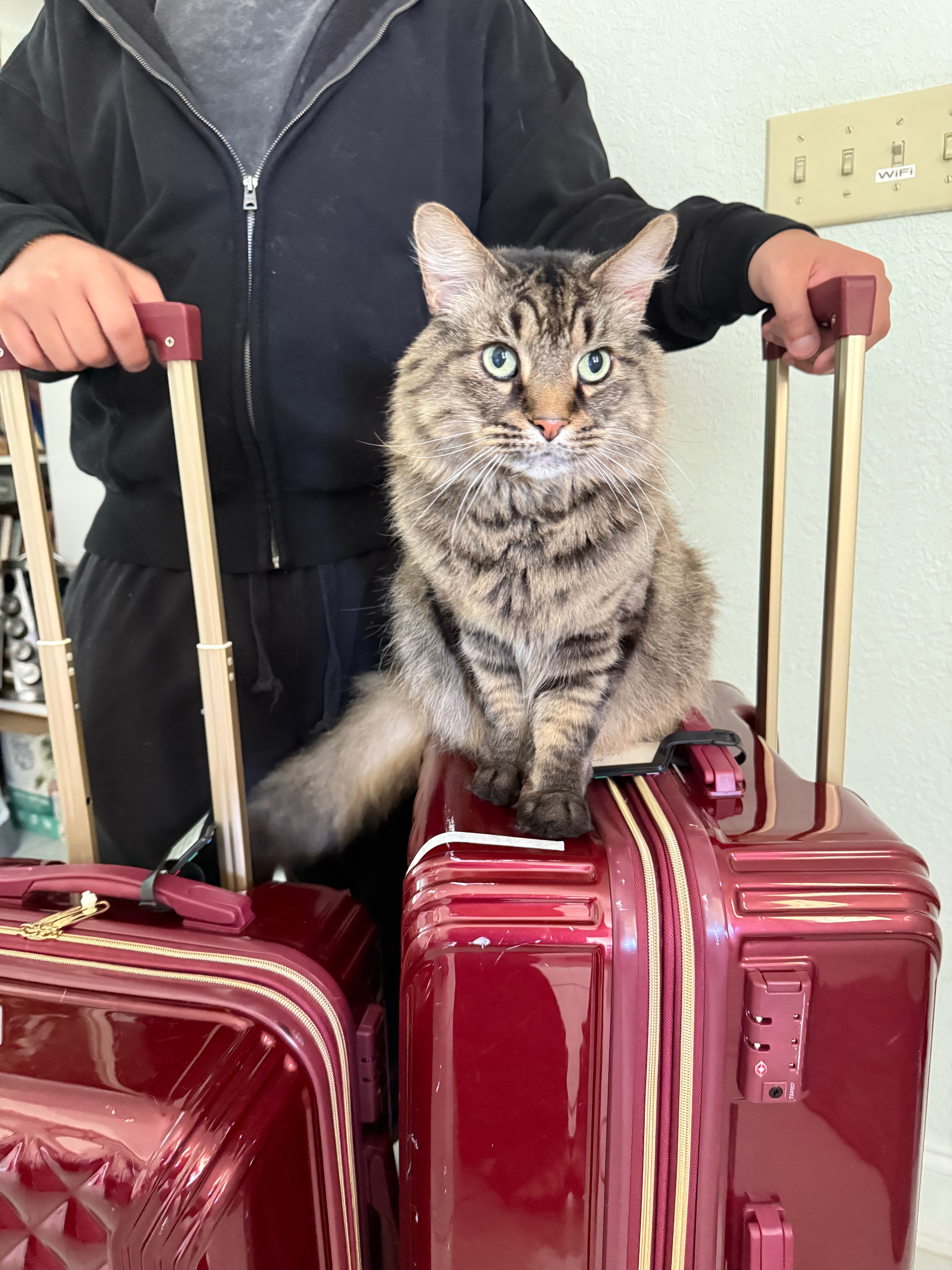 Support Klaus' Life-Saving Surgery campaign photo, 7 of 8