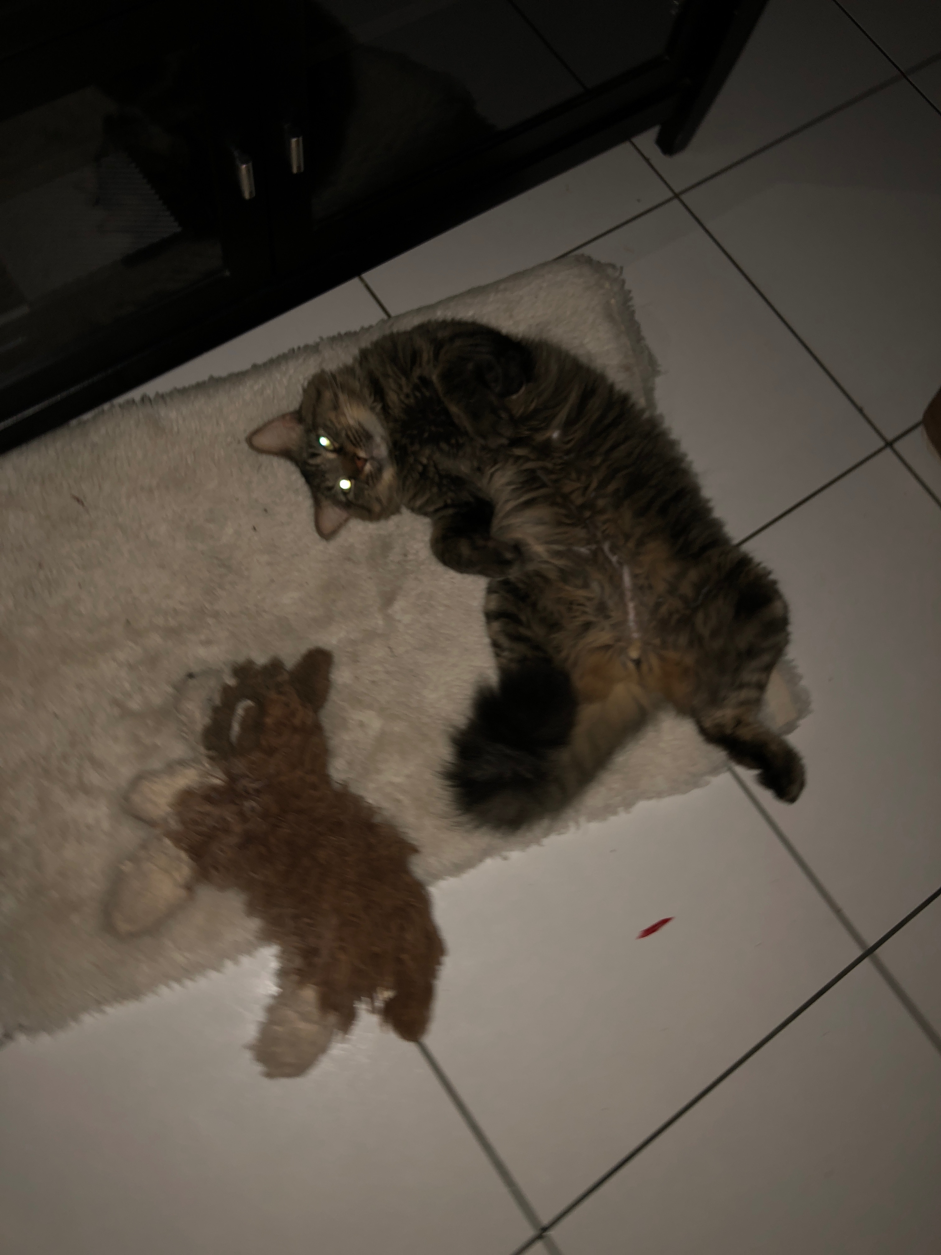 Support Klaus' Life-Saving Surgery campaign photo, 6 of 8