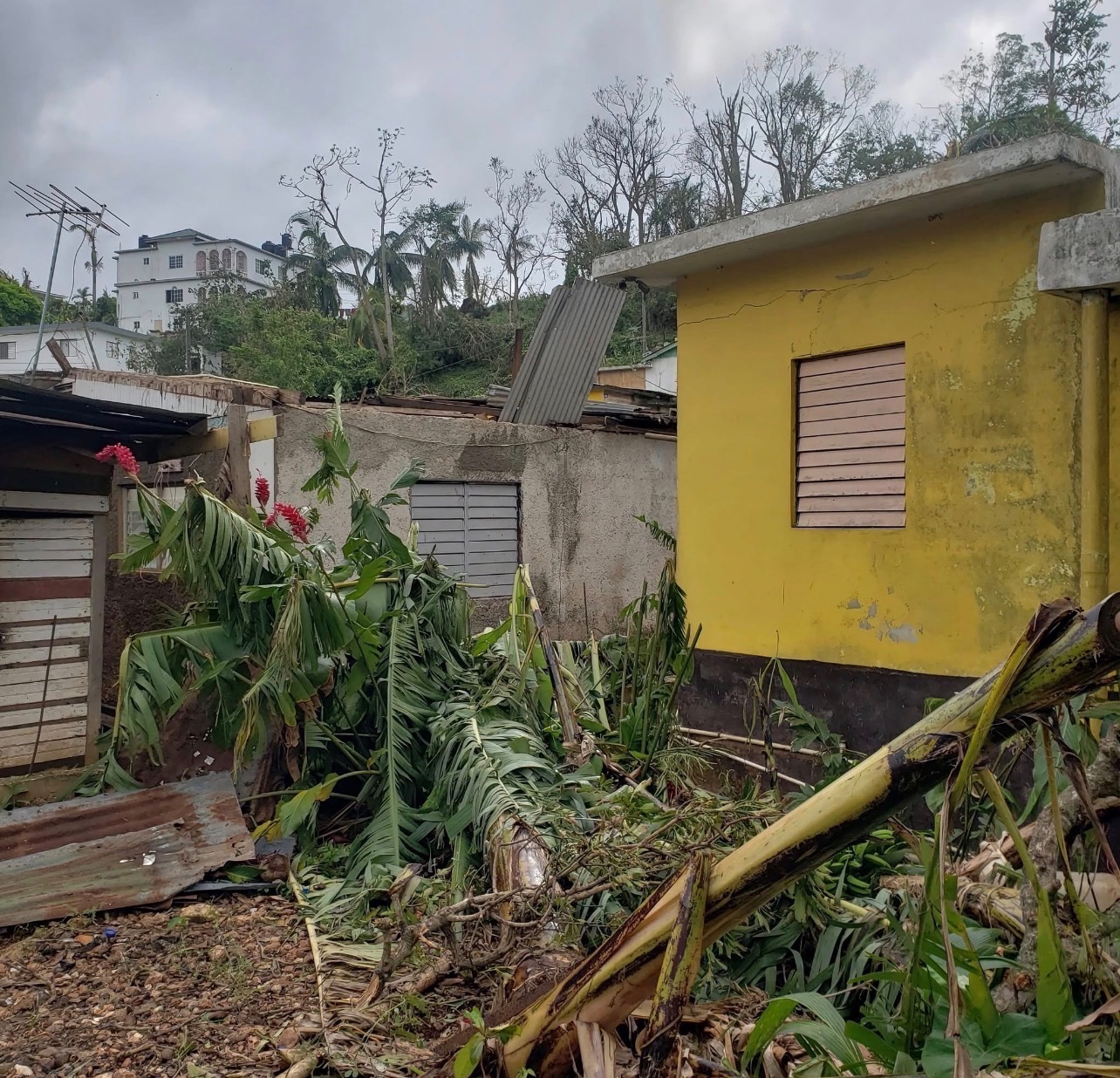 Help Rebuild Hope in Liberty Valley, Jamaica campaign photo, 6 of 7