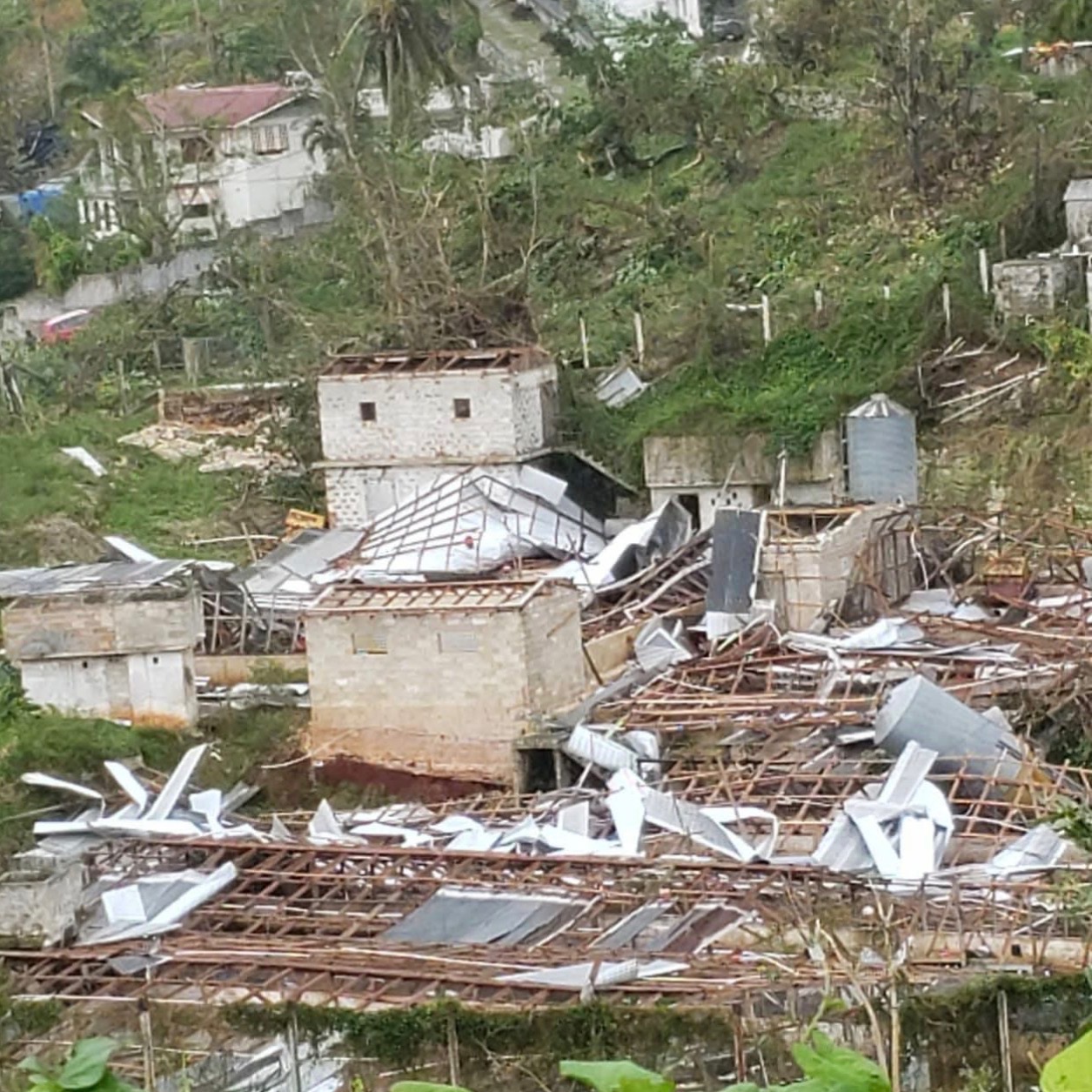 Help Rebuild Hope in Liberty Valley, Jamaica campaign photo, 4 of 7