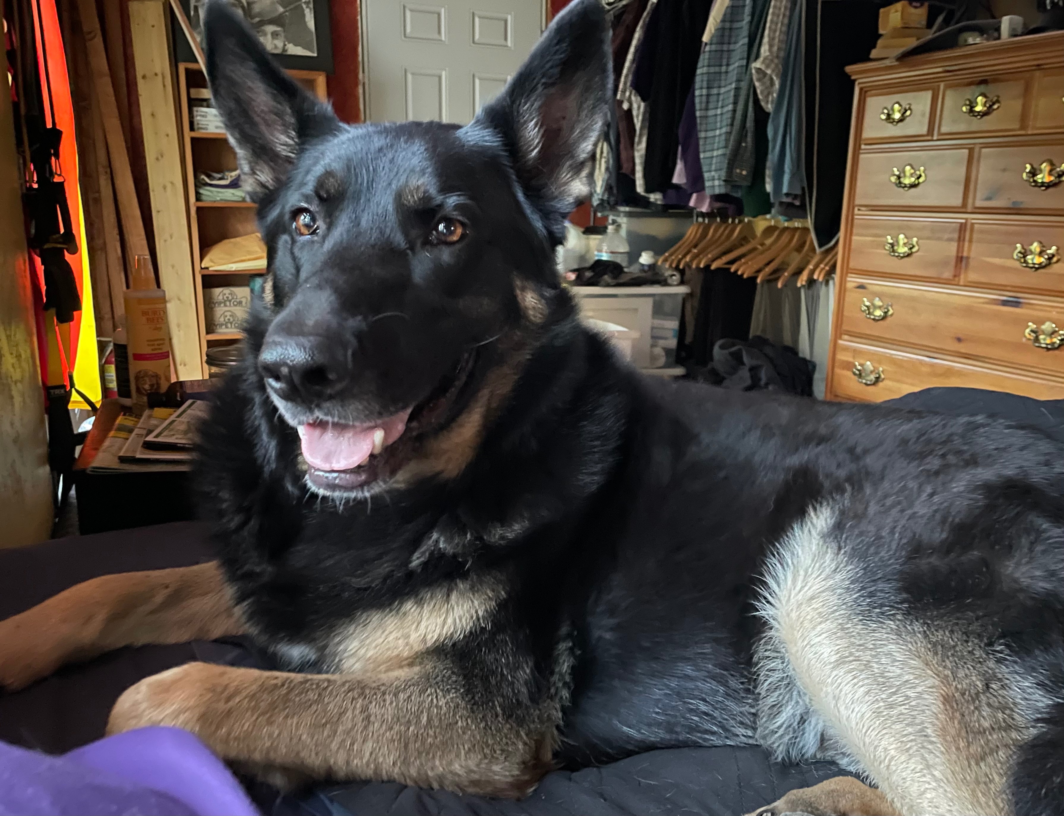 Support Pax's Healing Journey After Setback campaign photo, 2 of 7