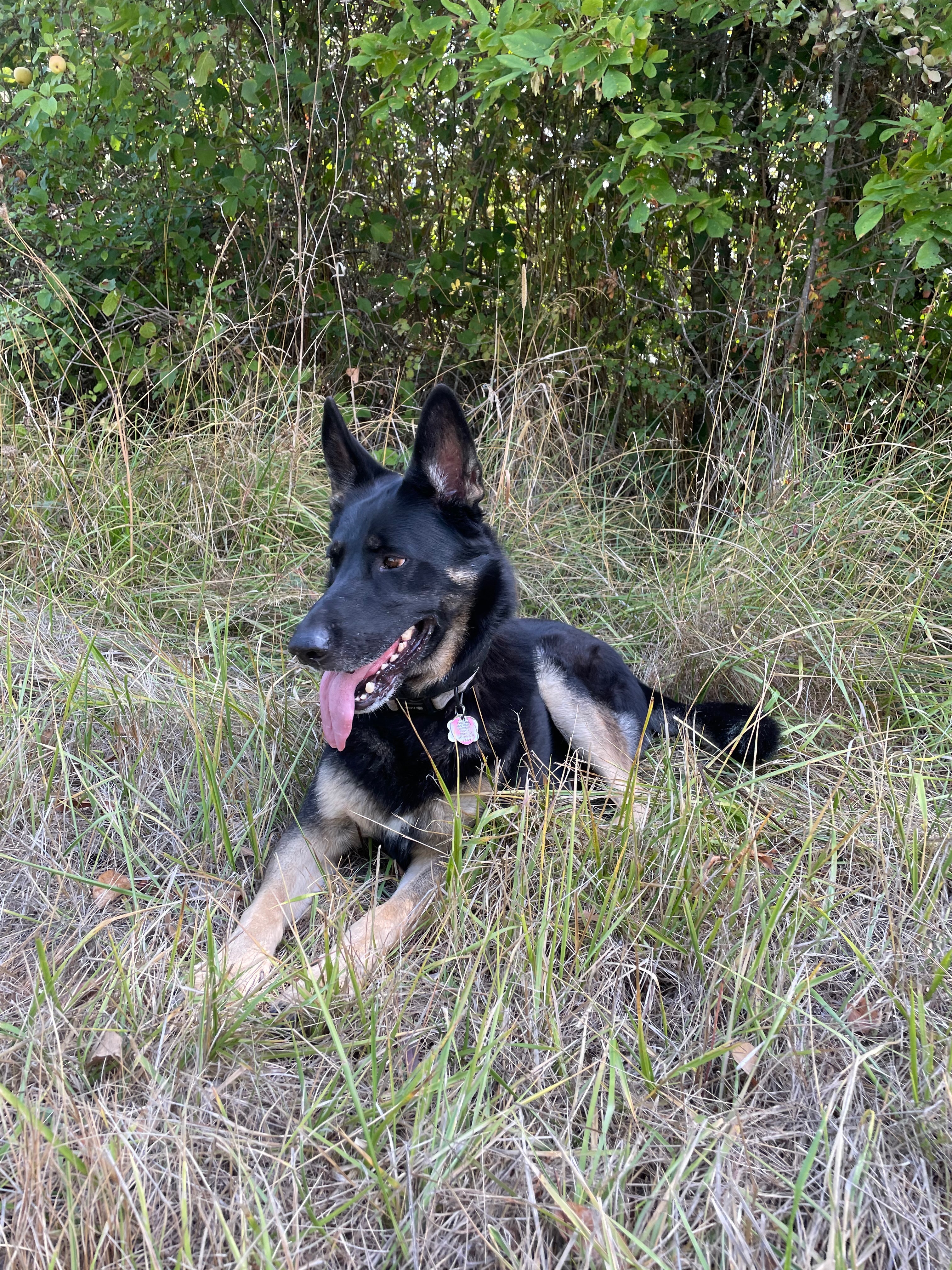 Support Pax's Healing Journey After Setback campaign photo, 5 of 7