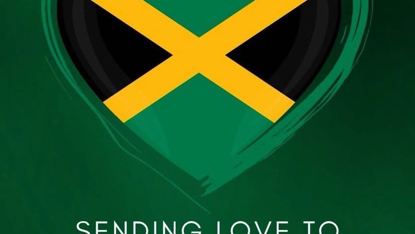 Fundraiser by Yanique Lawrence : Help Ansel and Alteman Recover from ...