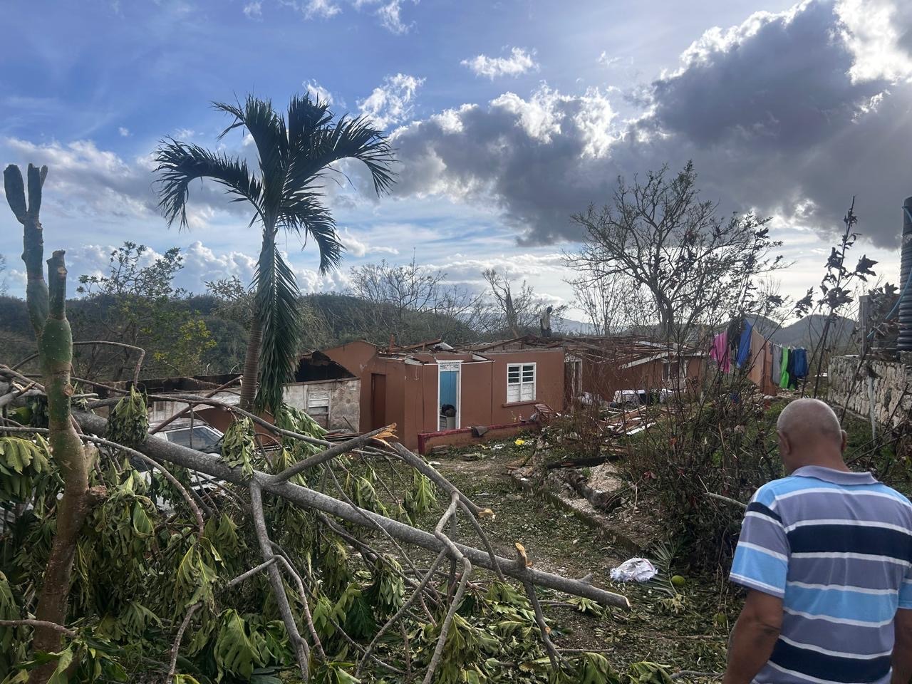 User-uploaded image 1