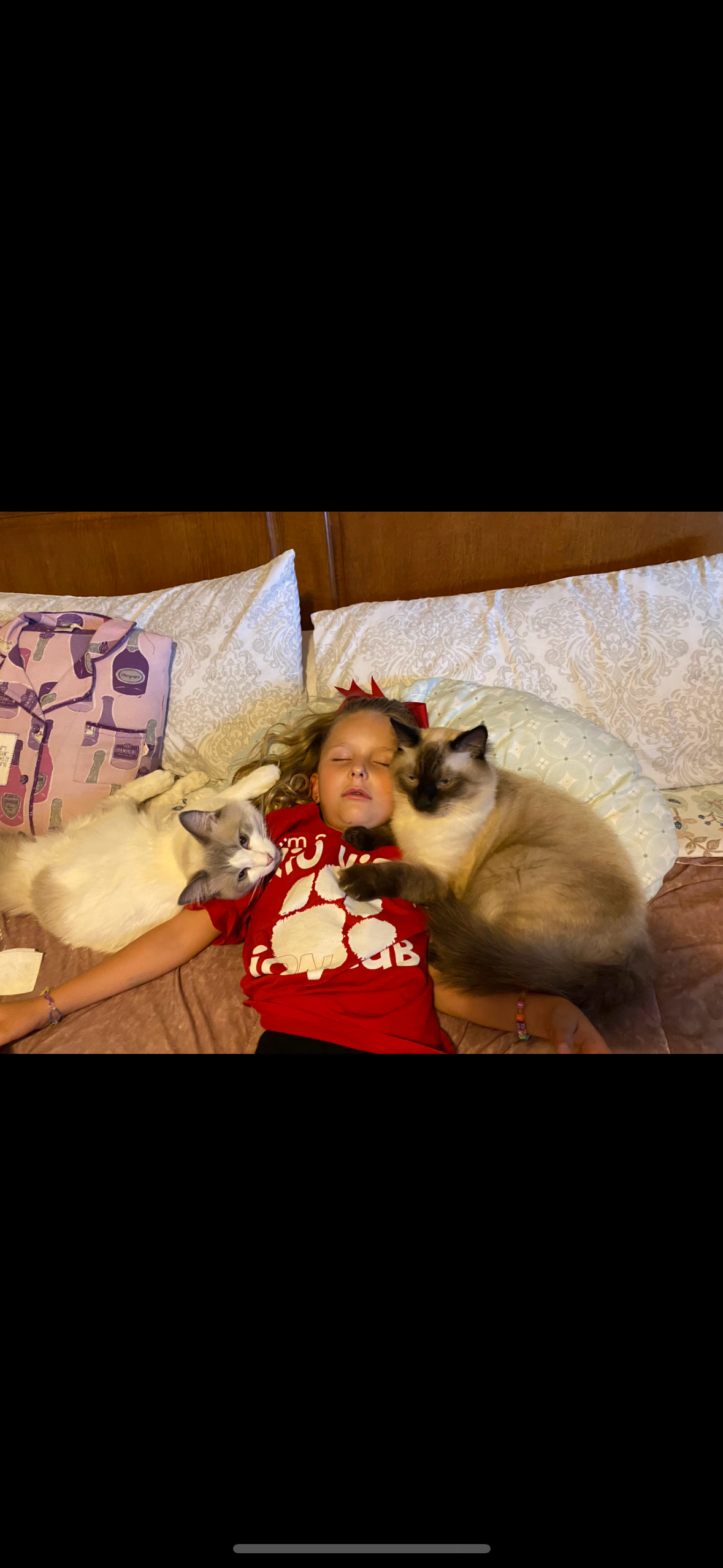 Help Puka Overcome Urinary Blockage campaign photo, 7 of 8