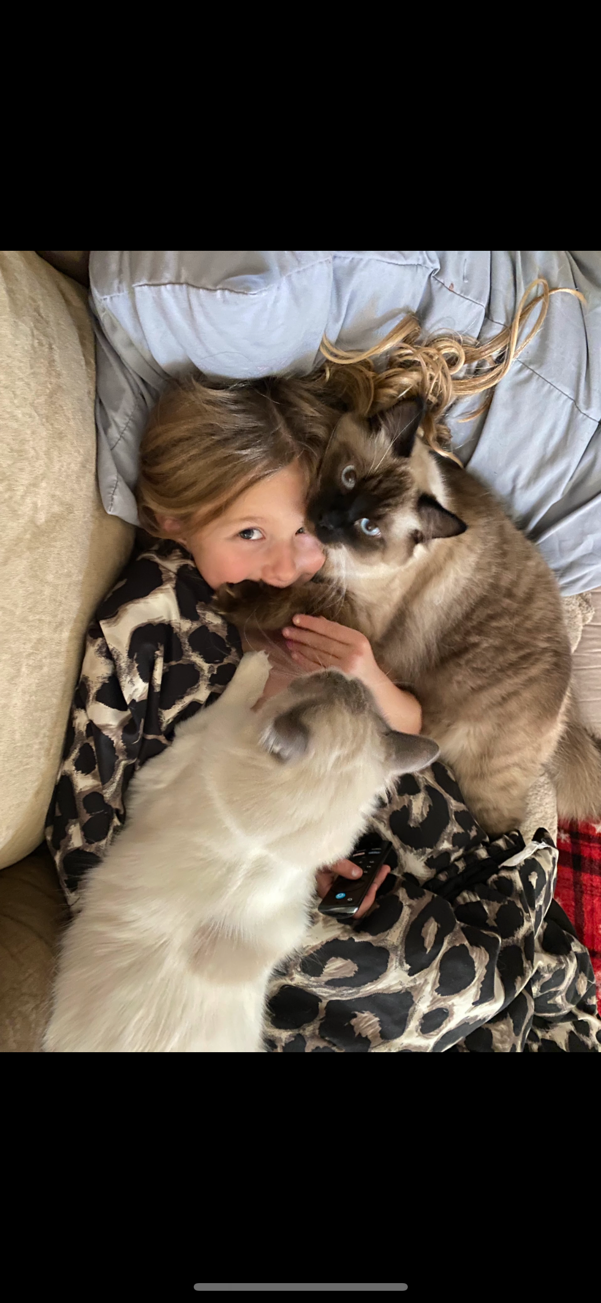 Help Puka Overcome Urinary Blockage campaign photo, 5 of 8