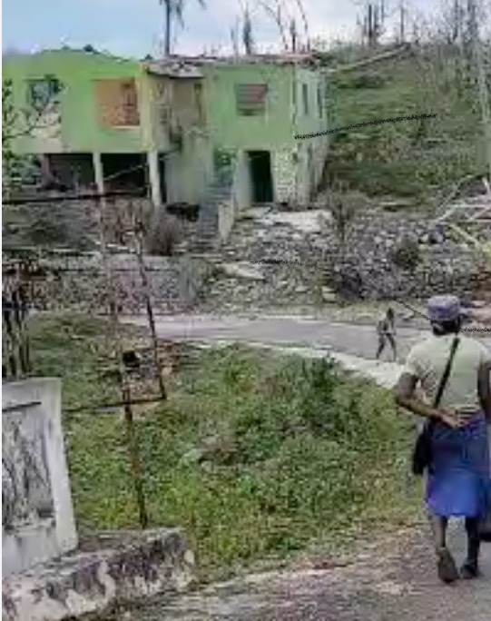 Rebuild St Elizabeth: Aid Alecia Daley and Community campaign photo, 7 of 8
