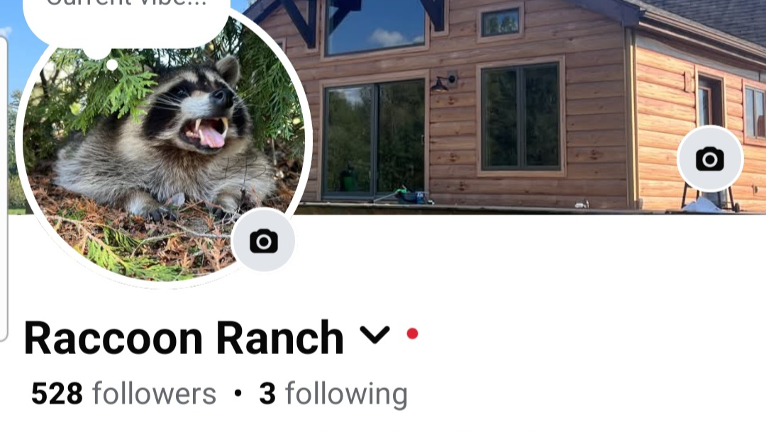 Donate to Raccoon Ranch's Wildlife Haven photo