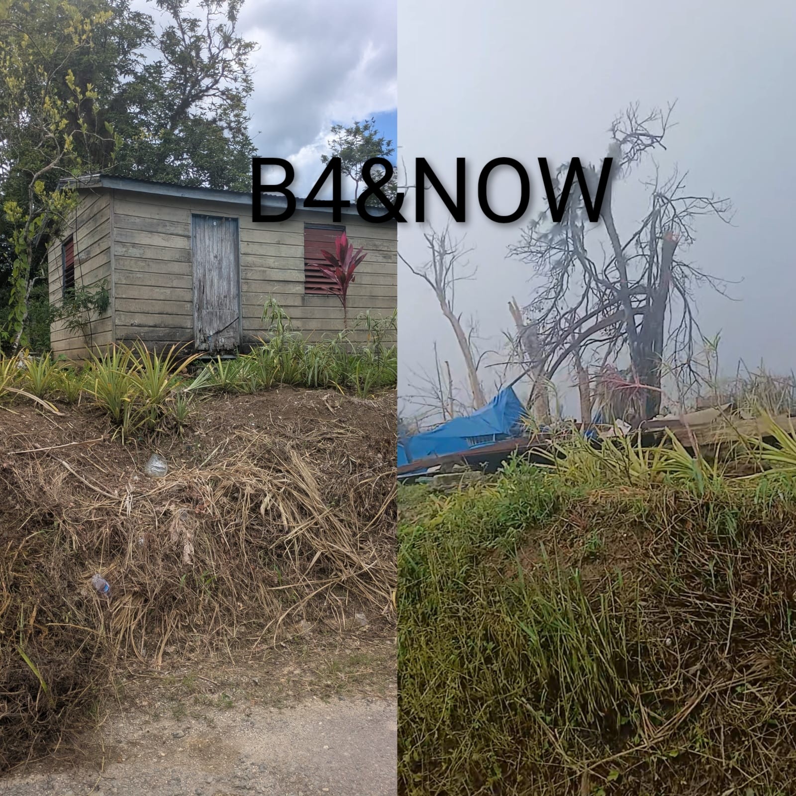 Help Restore My Community After Hurricane Melissa campaign photo, 4 of 7