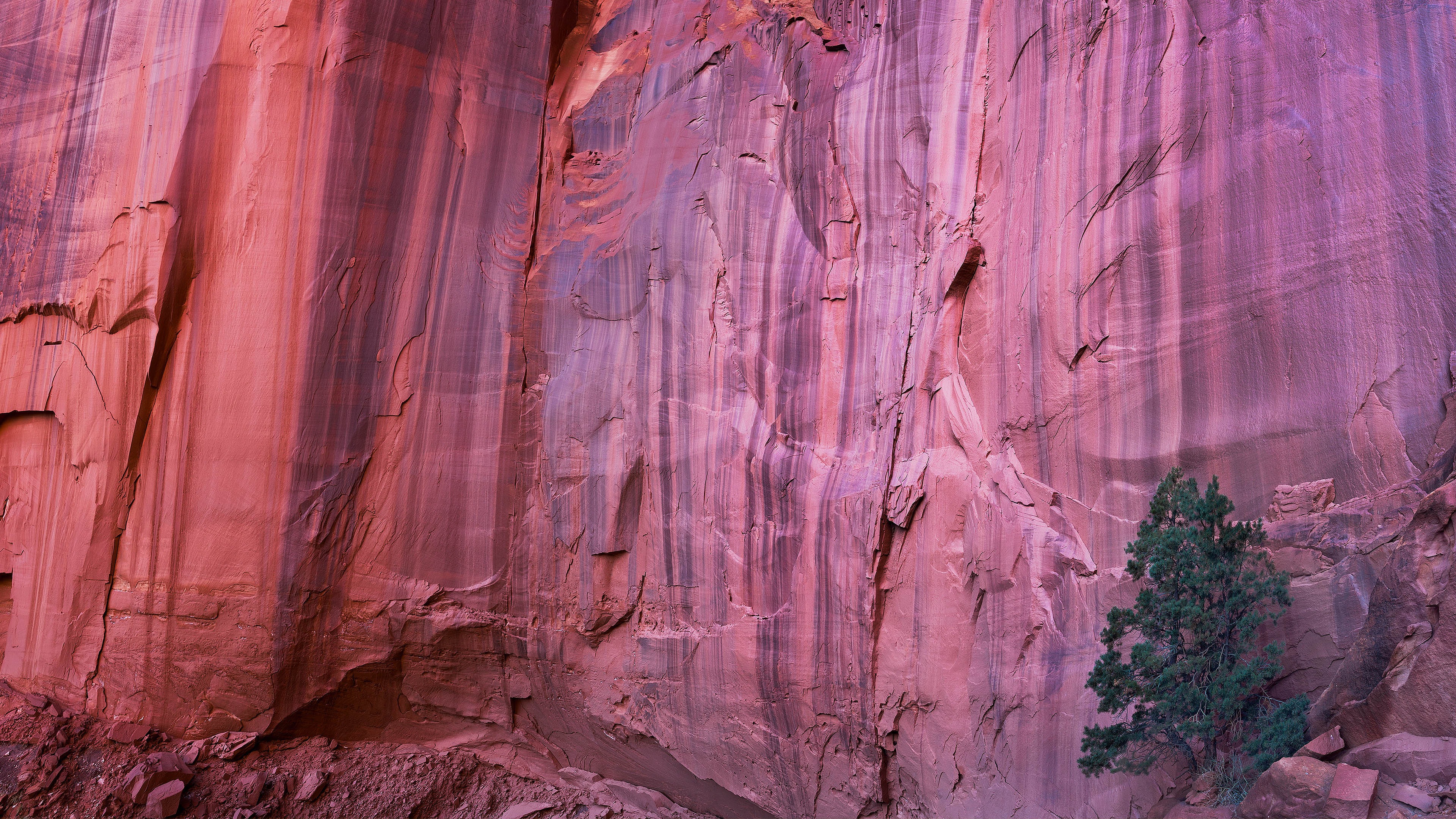 User-uploaded image 1