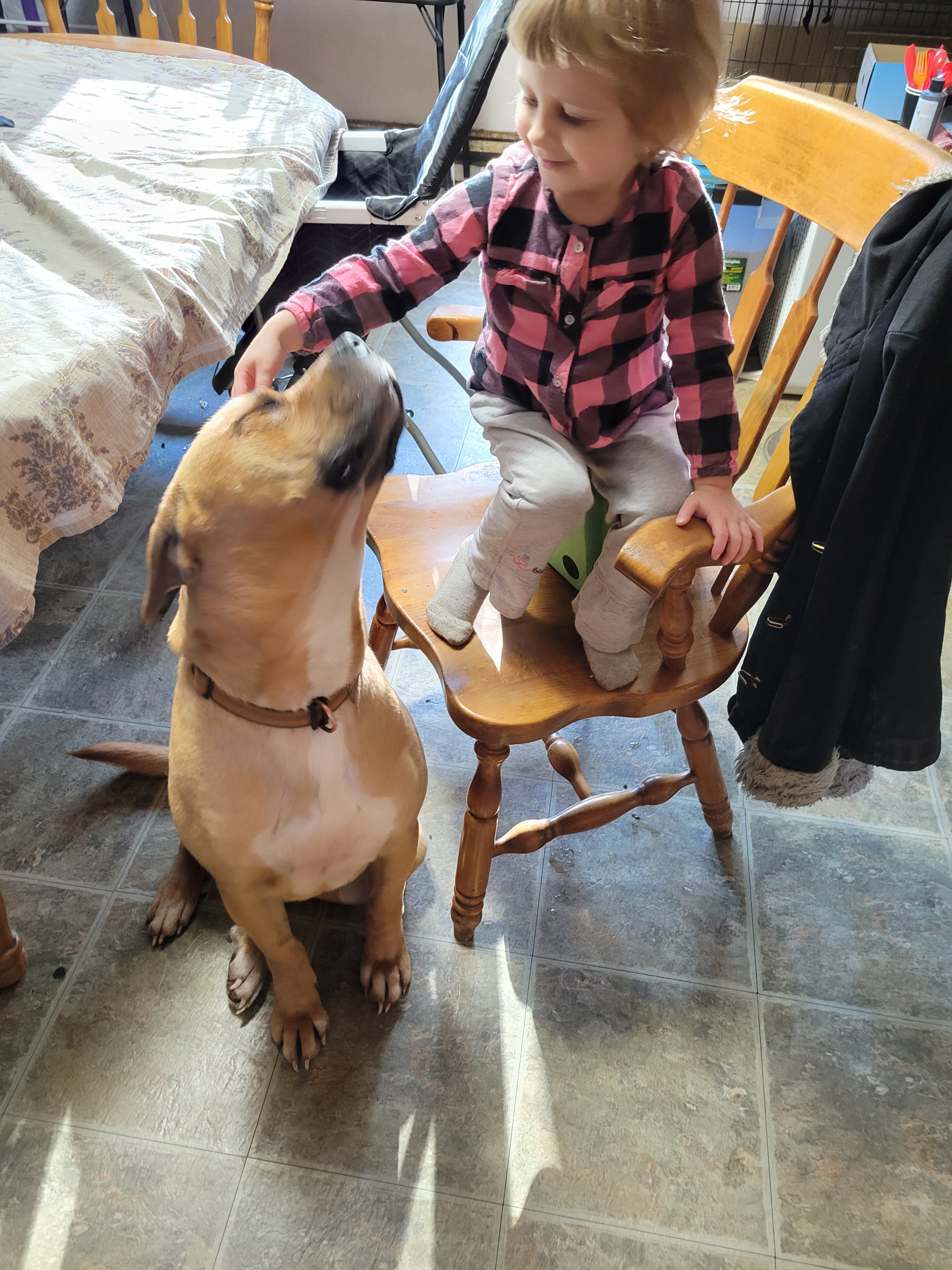 Give Jude a Pain-Free Life: Donate for Surgery campaign photo, 5 of 6