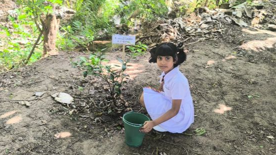 Support InMetta's Mission to Transform Lives photo