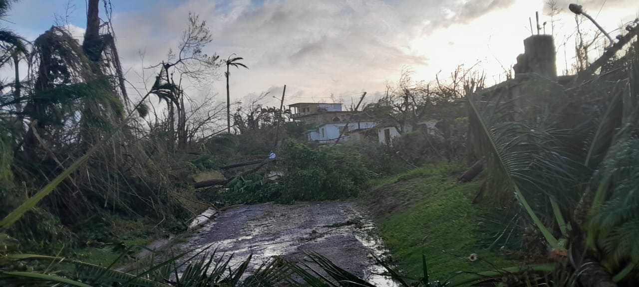 Help My Family Rebuild After Hurricane Melissa campaign photo, 5 of 8