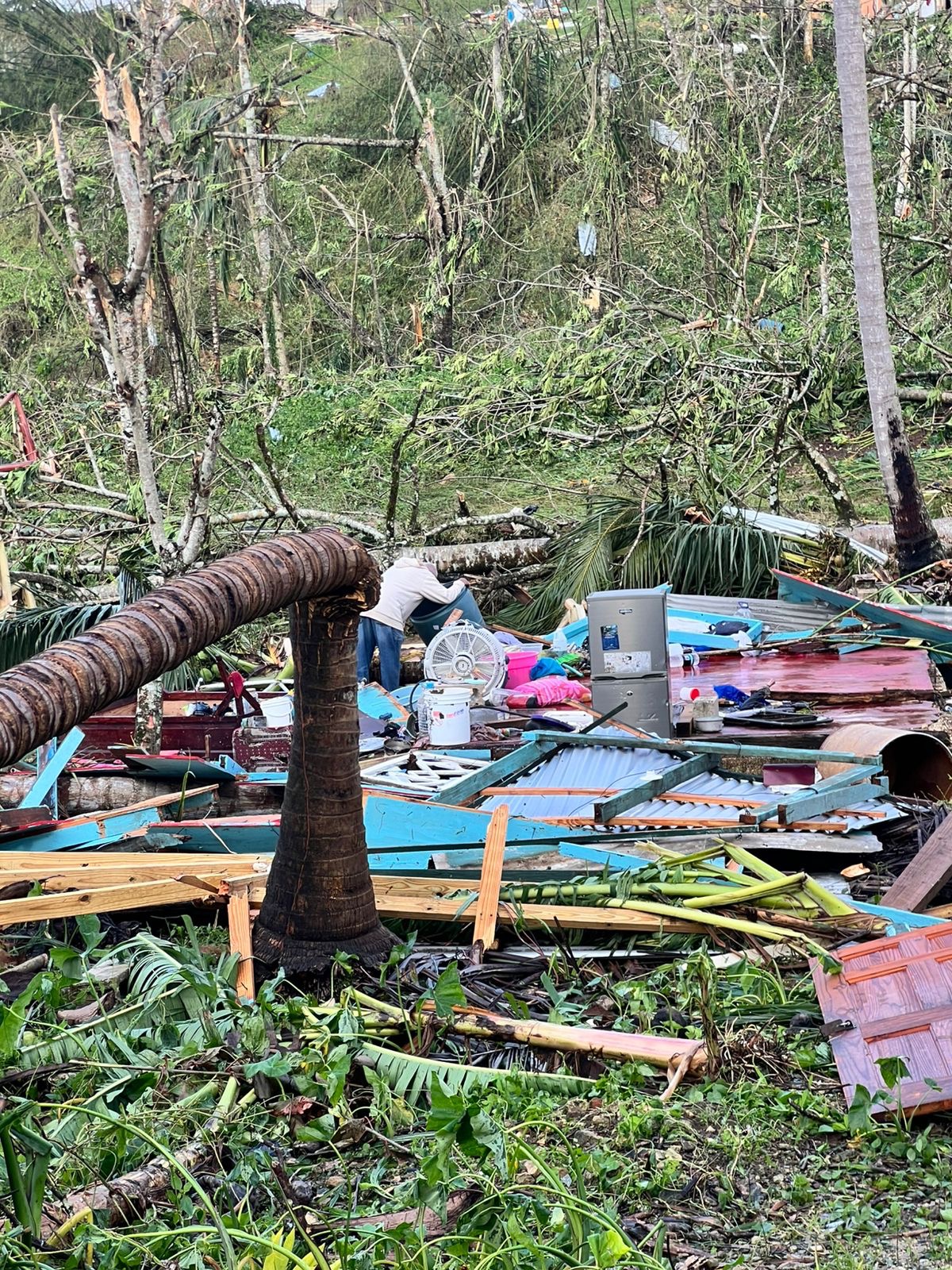 From Tour Guide to Survivor — Help a Jamaican Family Rebuild campaign photo, 2 of 8