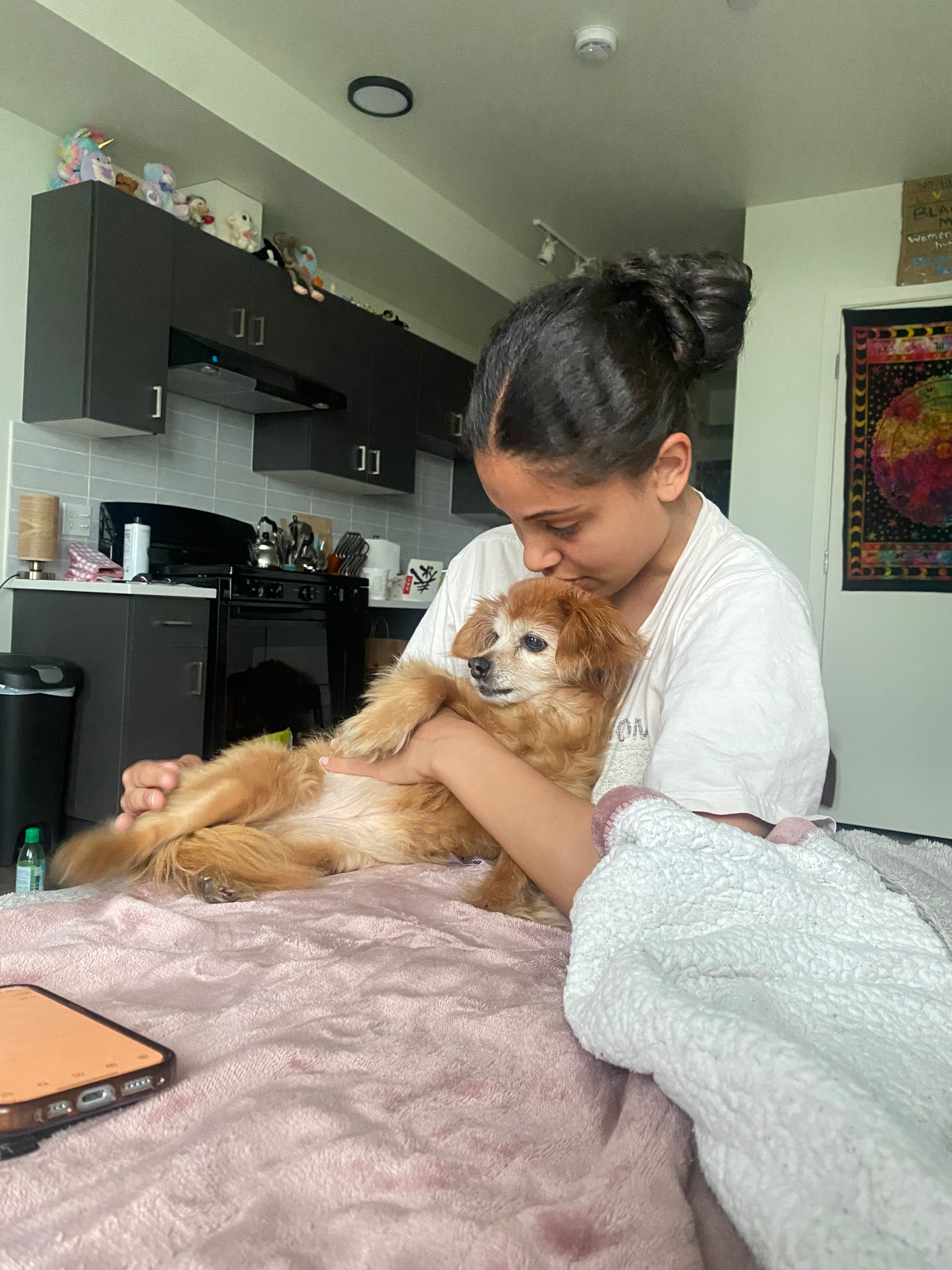 Save Lola: Urgent Surgery Needed campaign photo, 2 of 8