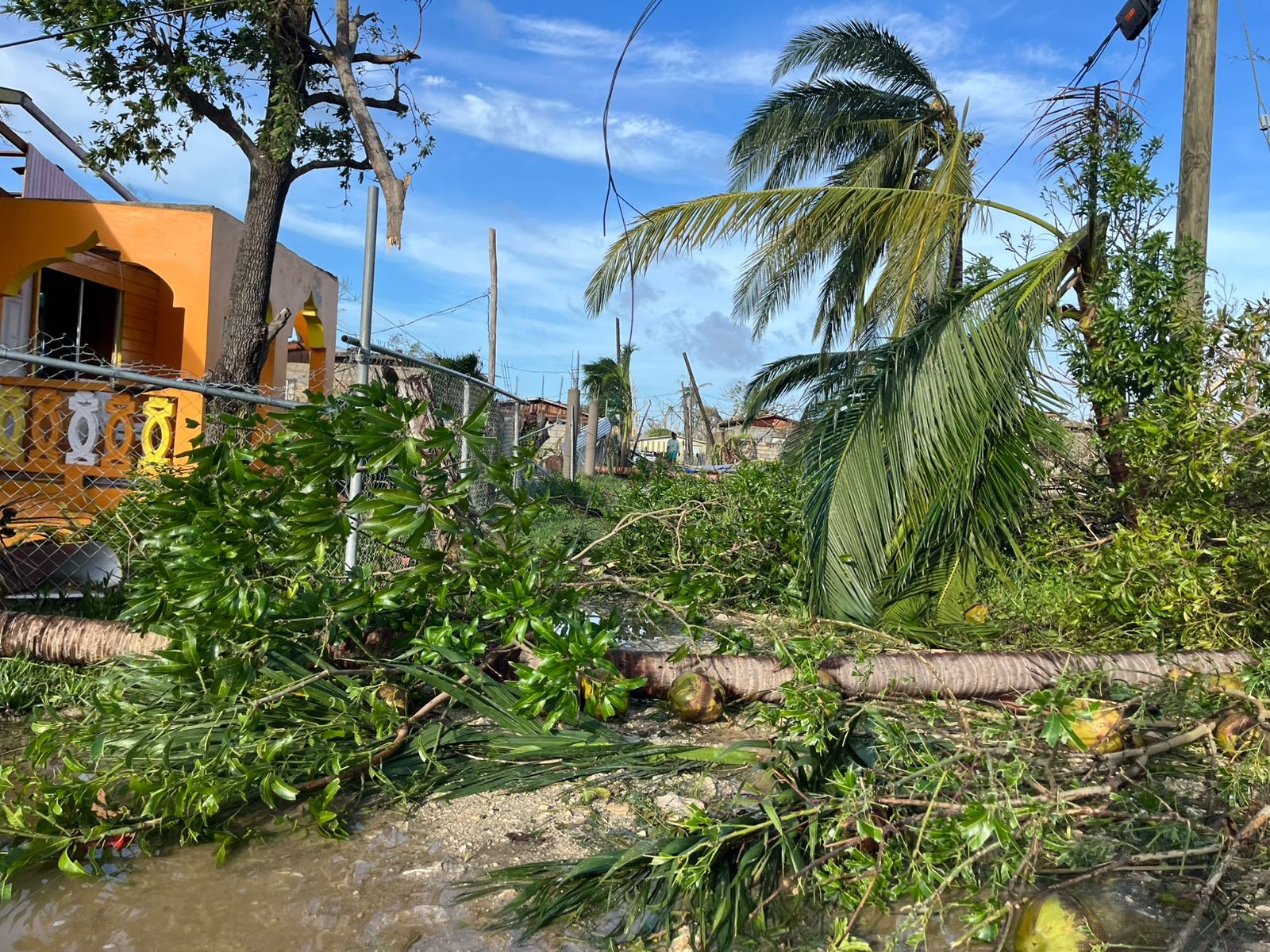 Helping my community of bullet tree Peterfield Westmoreland campaign photo, 4 of 7