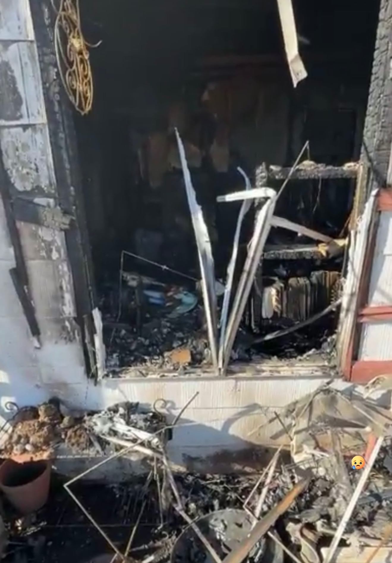 Support Norma and Her Pets After Tragic Fire campaign photo, 4 of 7