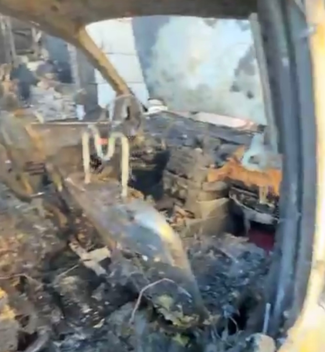 Support Norma and Her Pets After Tragic Fire campaign photo, 2 of 7