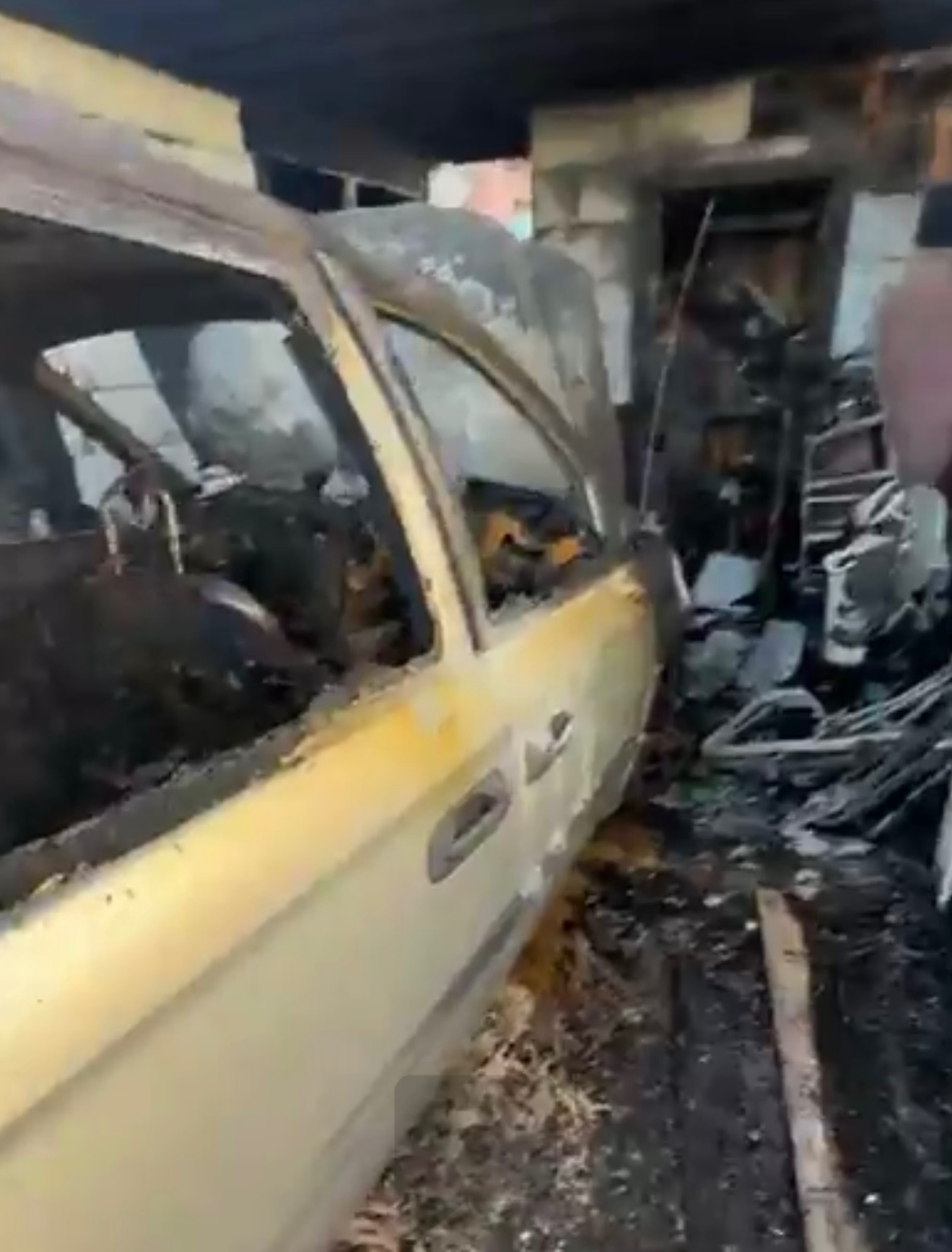Support Norma and Her Pets After Tragic Fire campaign photo, 6 of 7