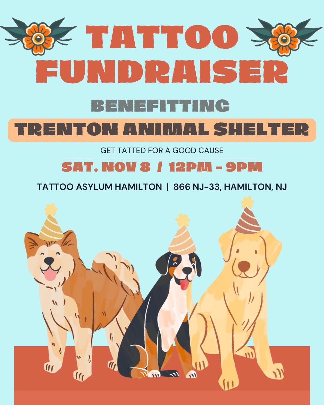 Donate Beds for Trenton Shelter Dogs campaign photo, 4 of 4