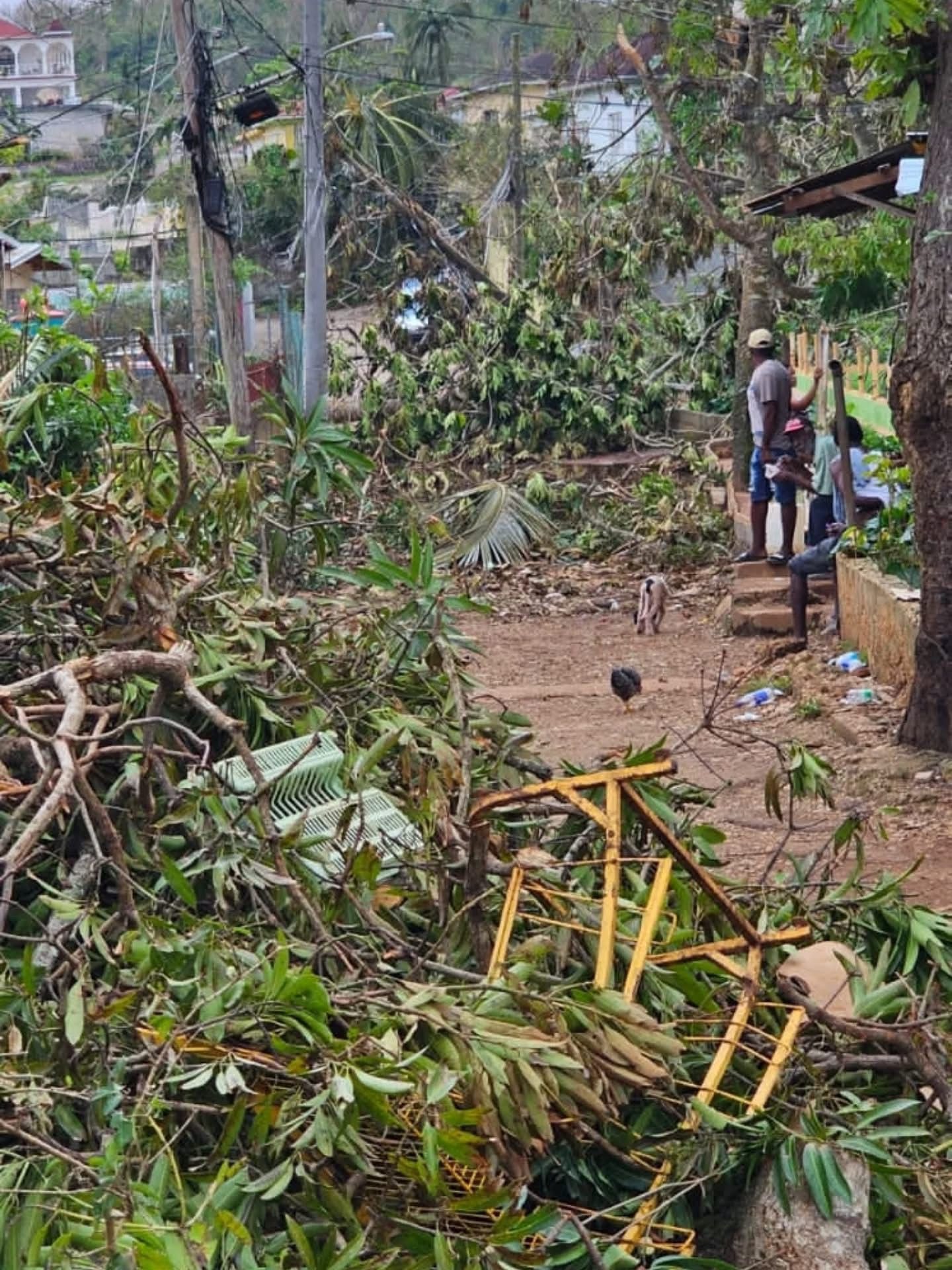 Support Hurricane Melissa Victims in Jamaica campaign photo, 2 of 8