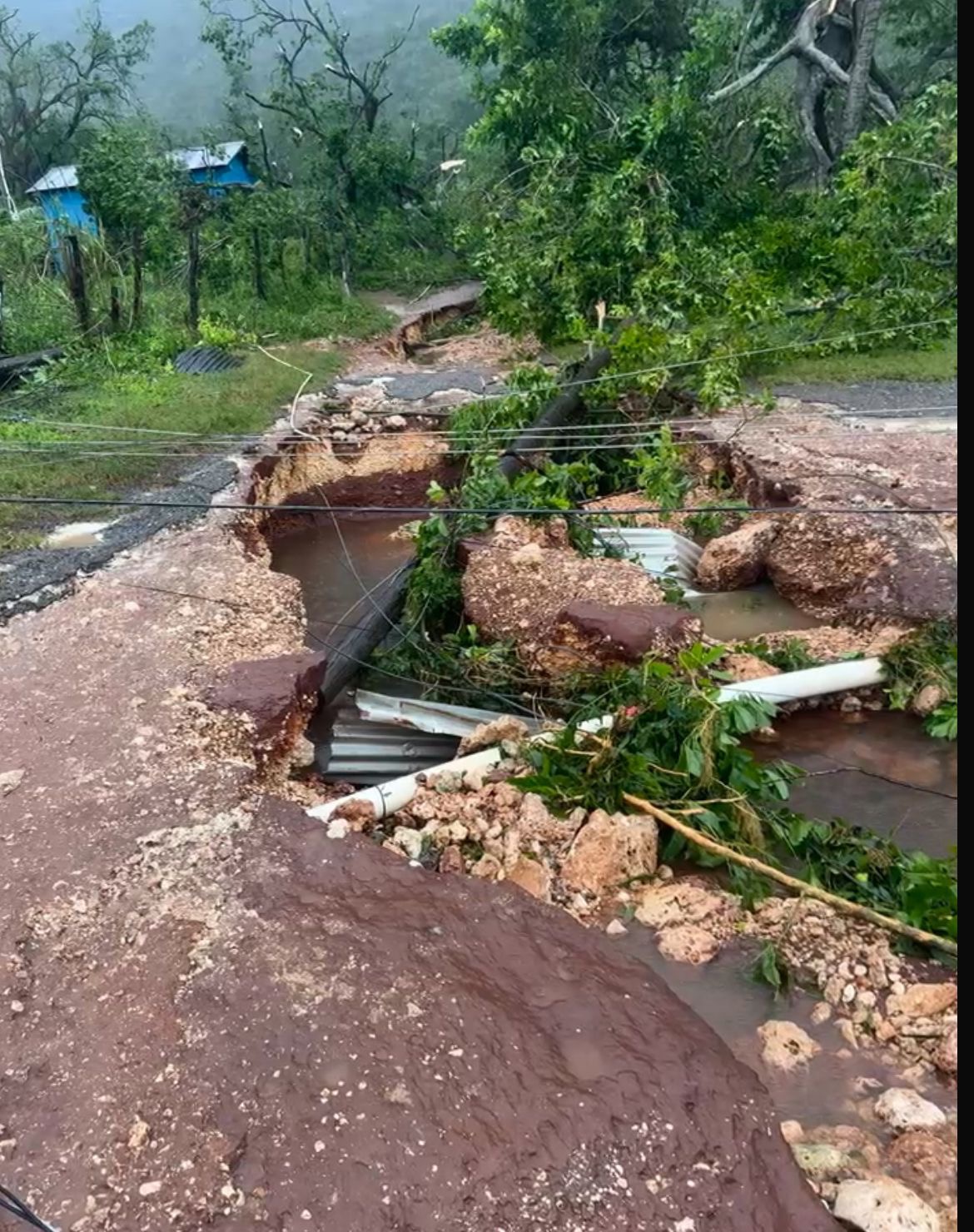 Support Kadeisha's Hurricane Melissa Relief Efforts campaign photo, 4 of 6