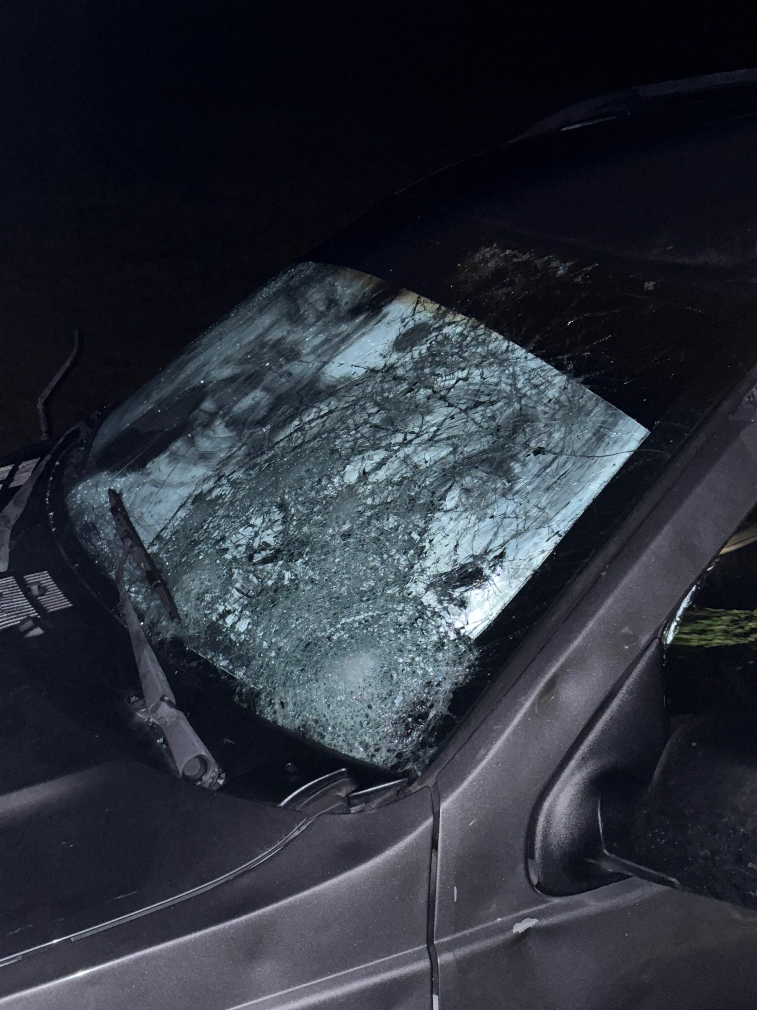 Help Carlos Recover from Hailstorm Damage campaign photo, 2 of 7