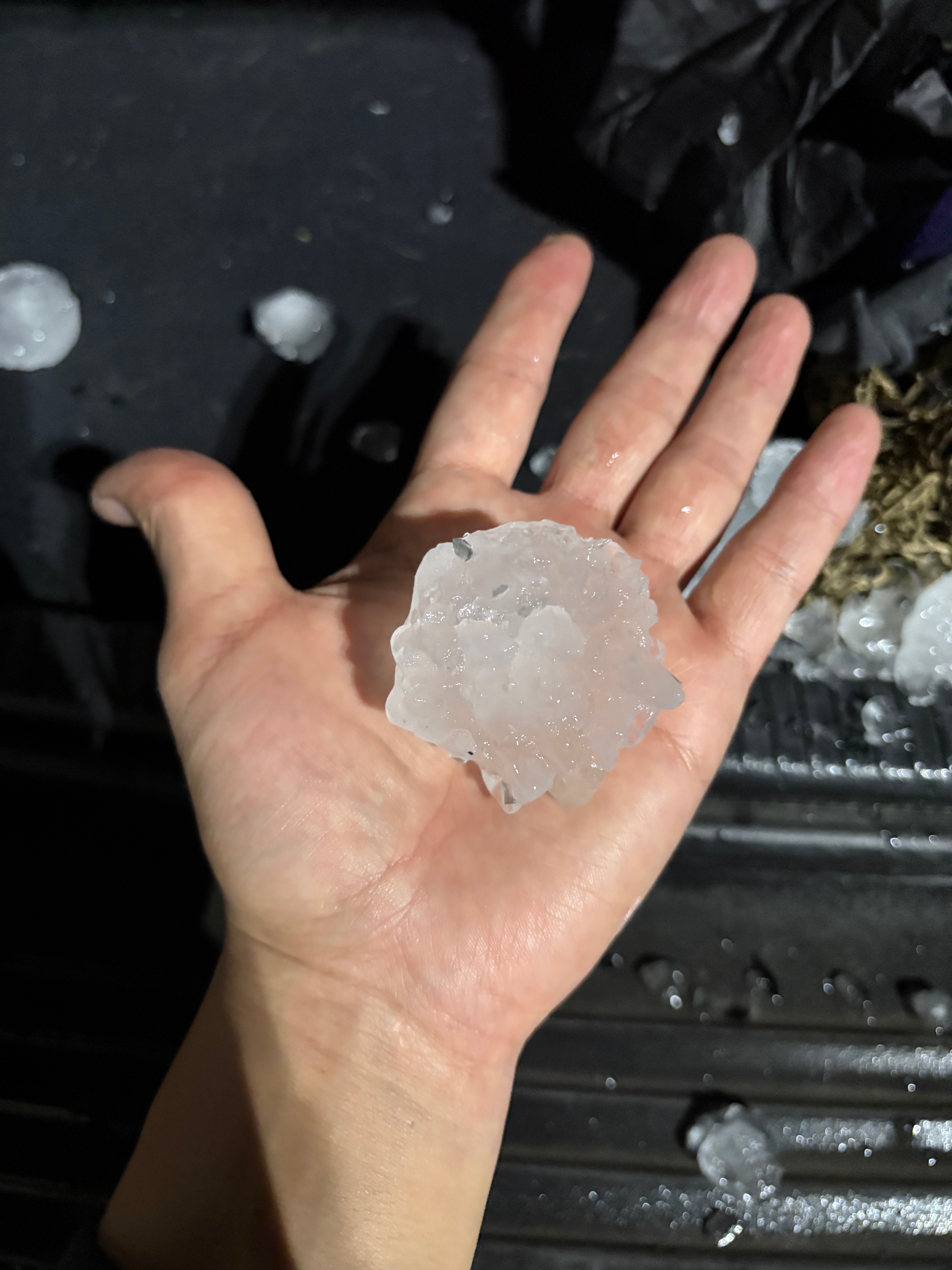 Help Carlos Recover from Hailstorm Damage campaign photo, 4 of 7