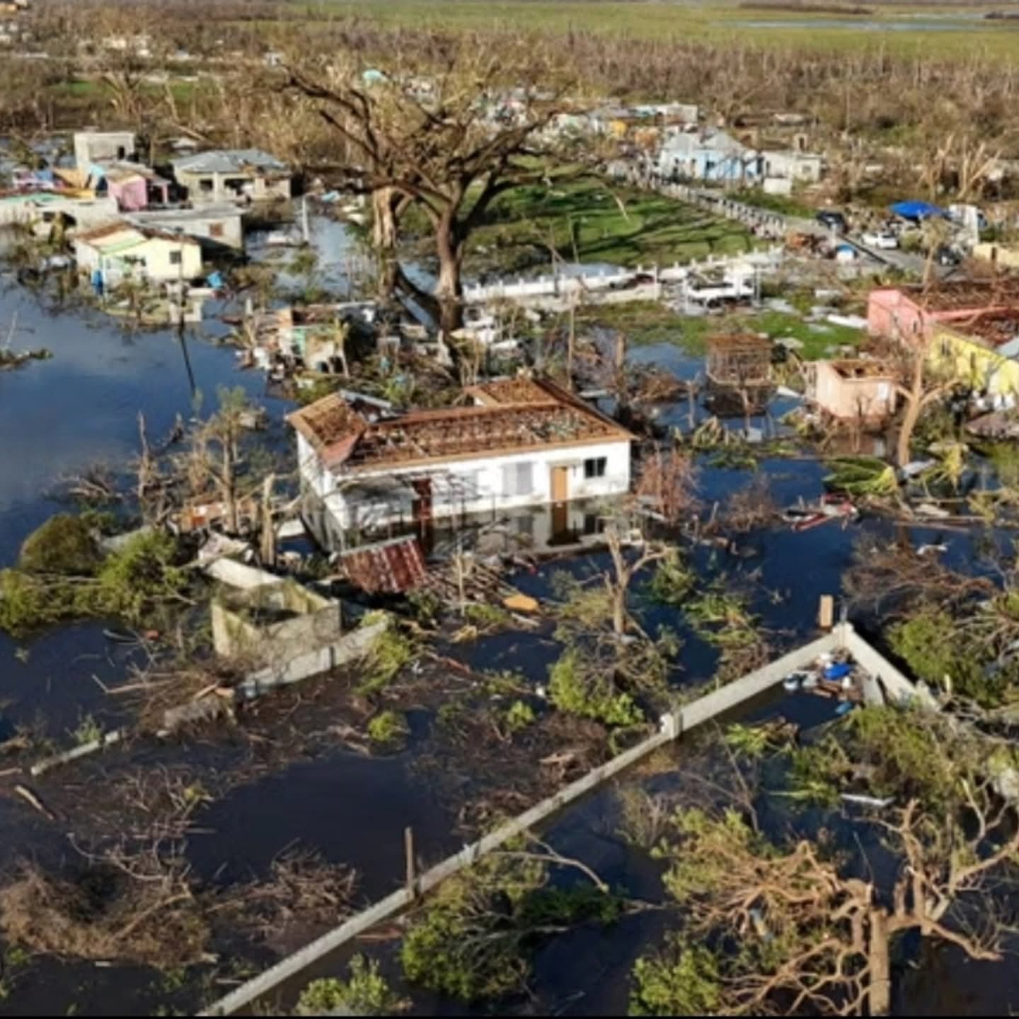 Donate to Tracey's Mission for Jamaica's Recovery campaign photo, 2 of 6