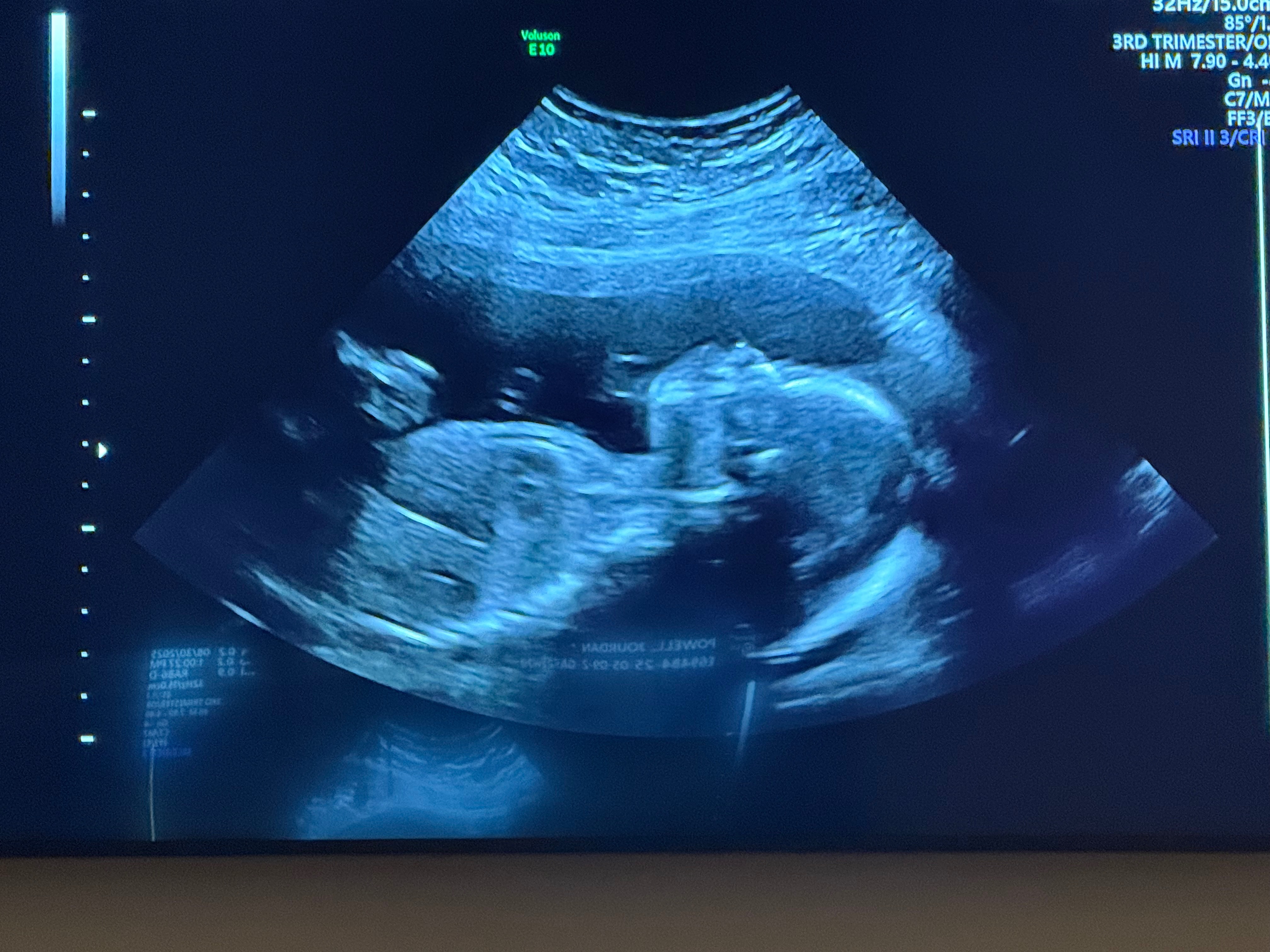 User-uploaded image 1