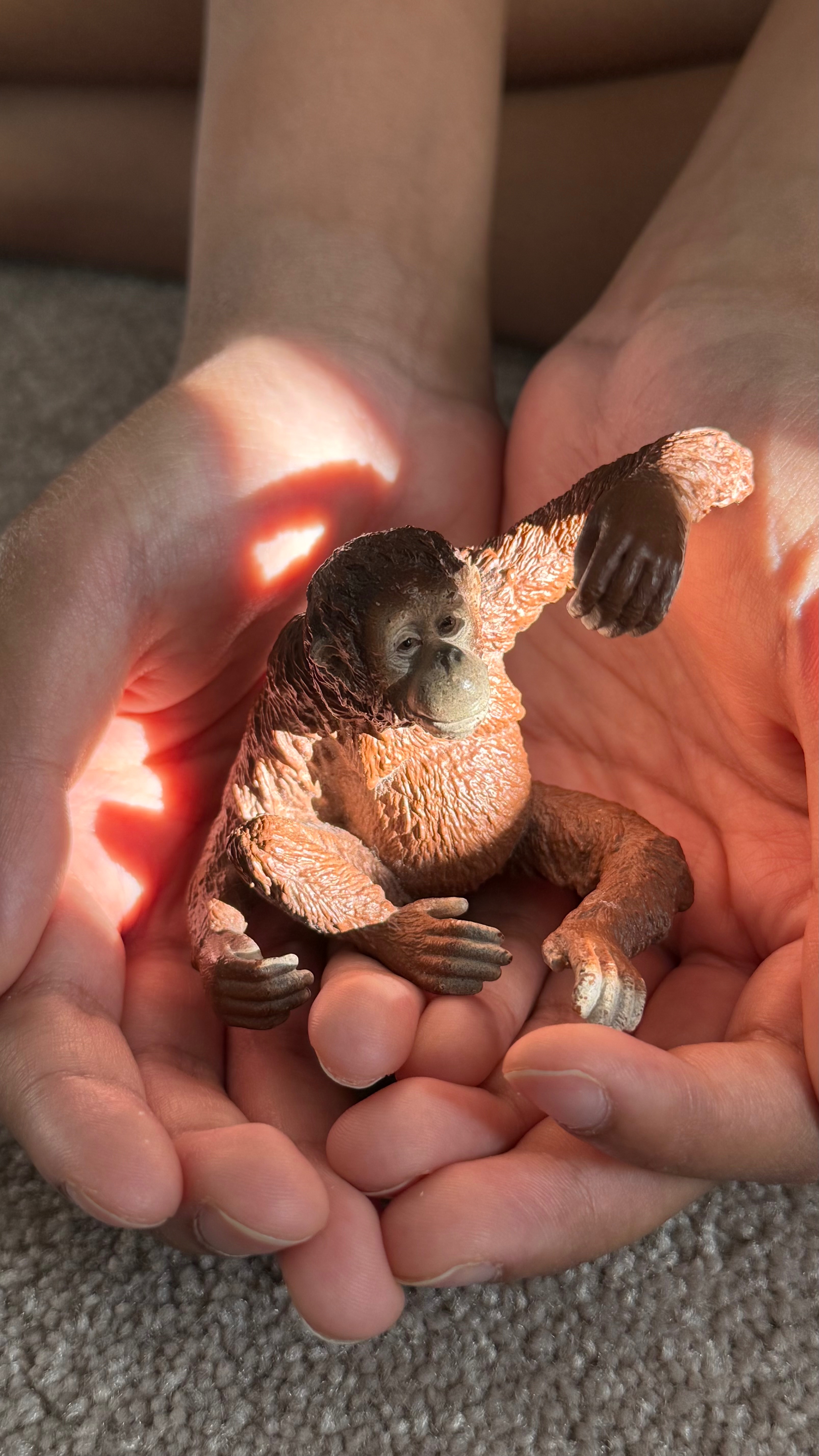 Louie saves orangutang campaign photo, 2 of 4