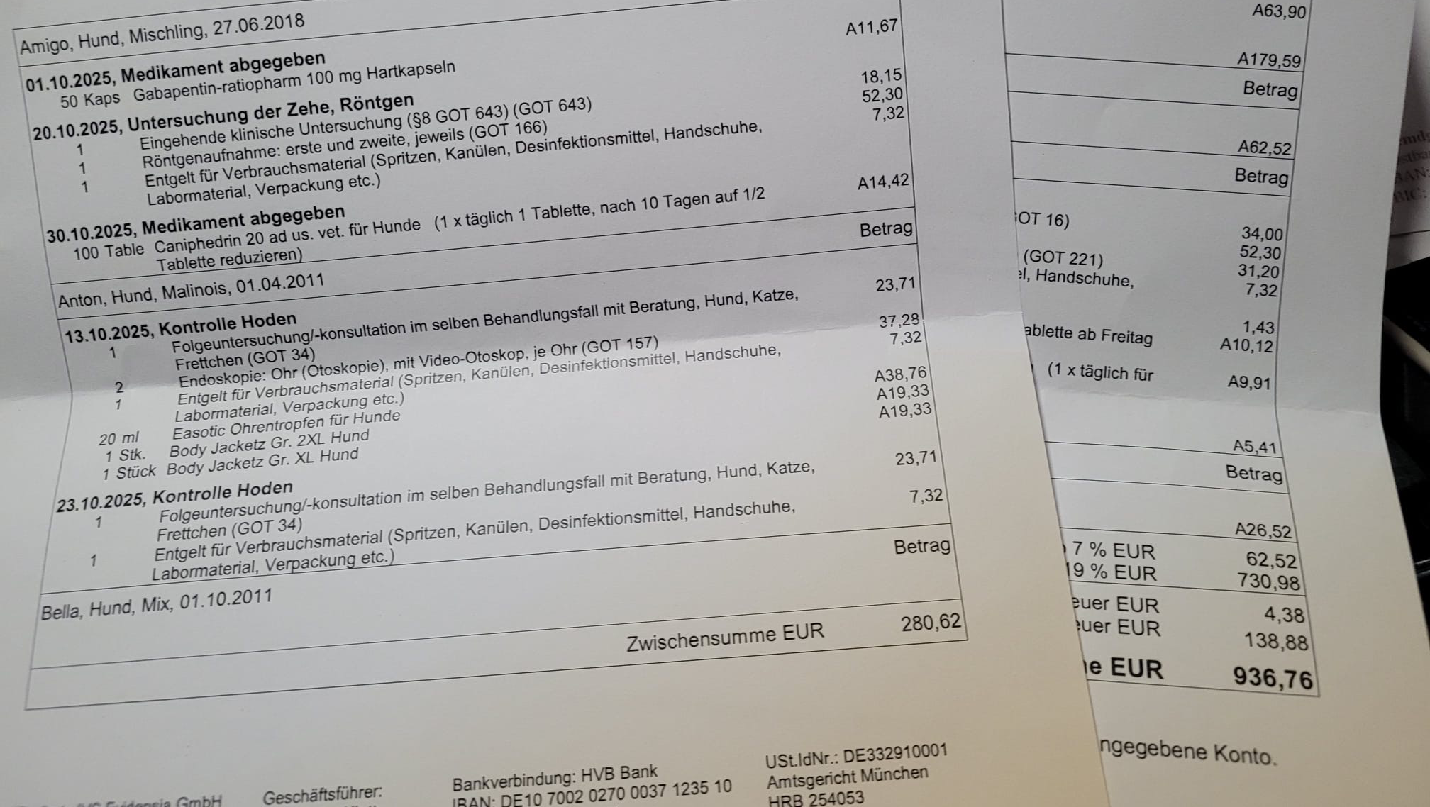 Tierarztkosten Oktober und wichtiges Zubehör photo