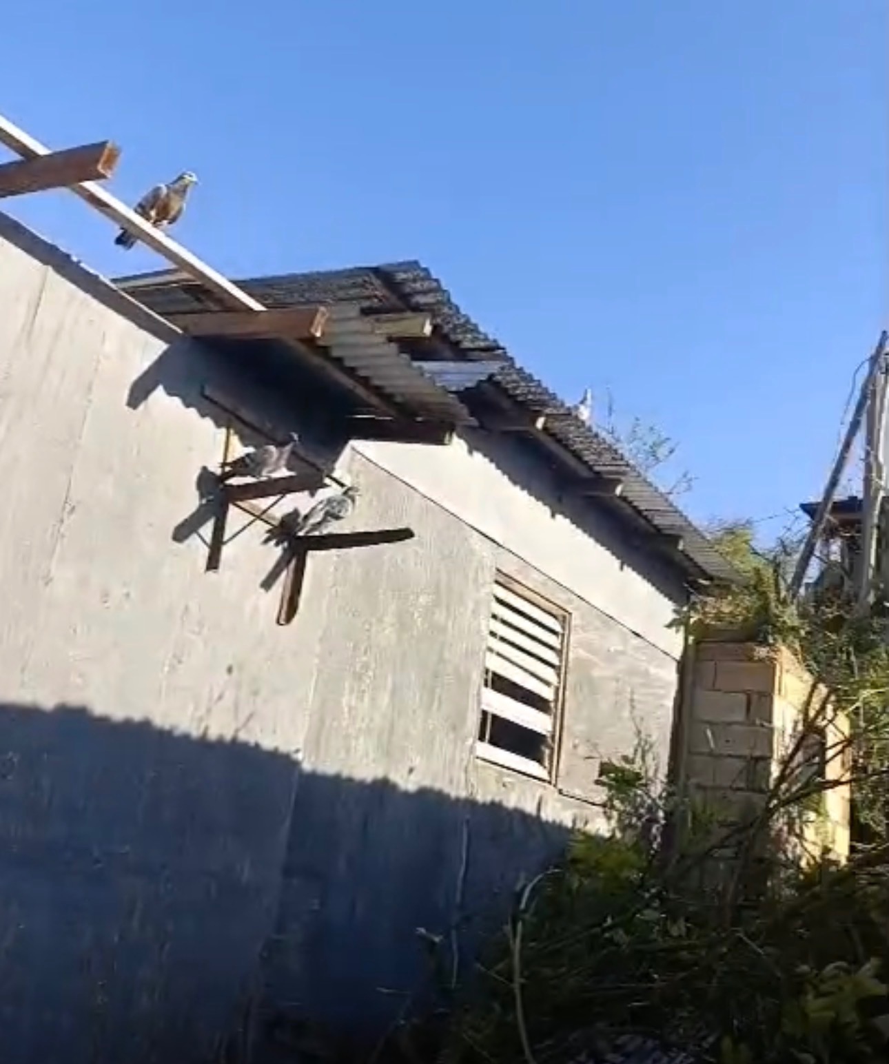 Rebuild Clarks Town After Hurricane Melissa campaign photo, 2 of 5