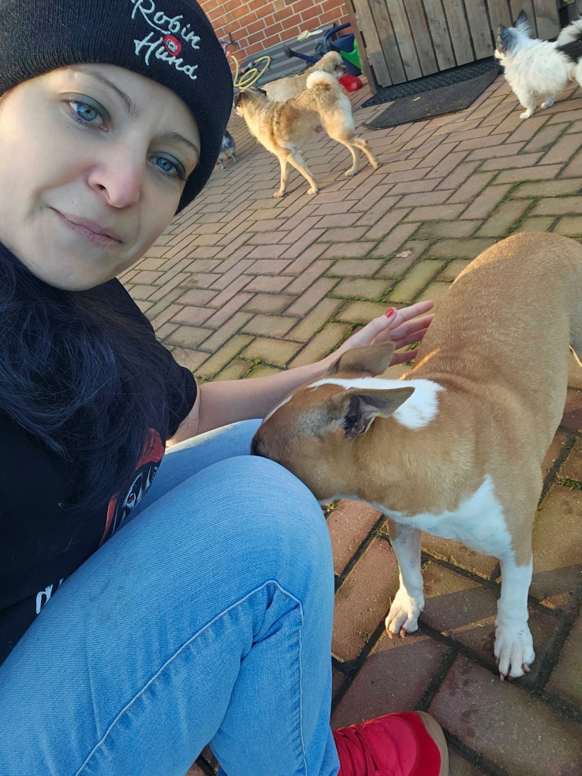Robin Hund – Wir helfen Hunden in Not. Direkt vor Ort. campaign photo, 2 of 7