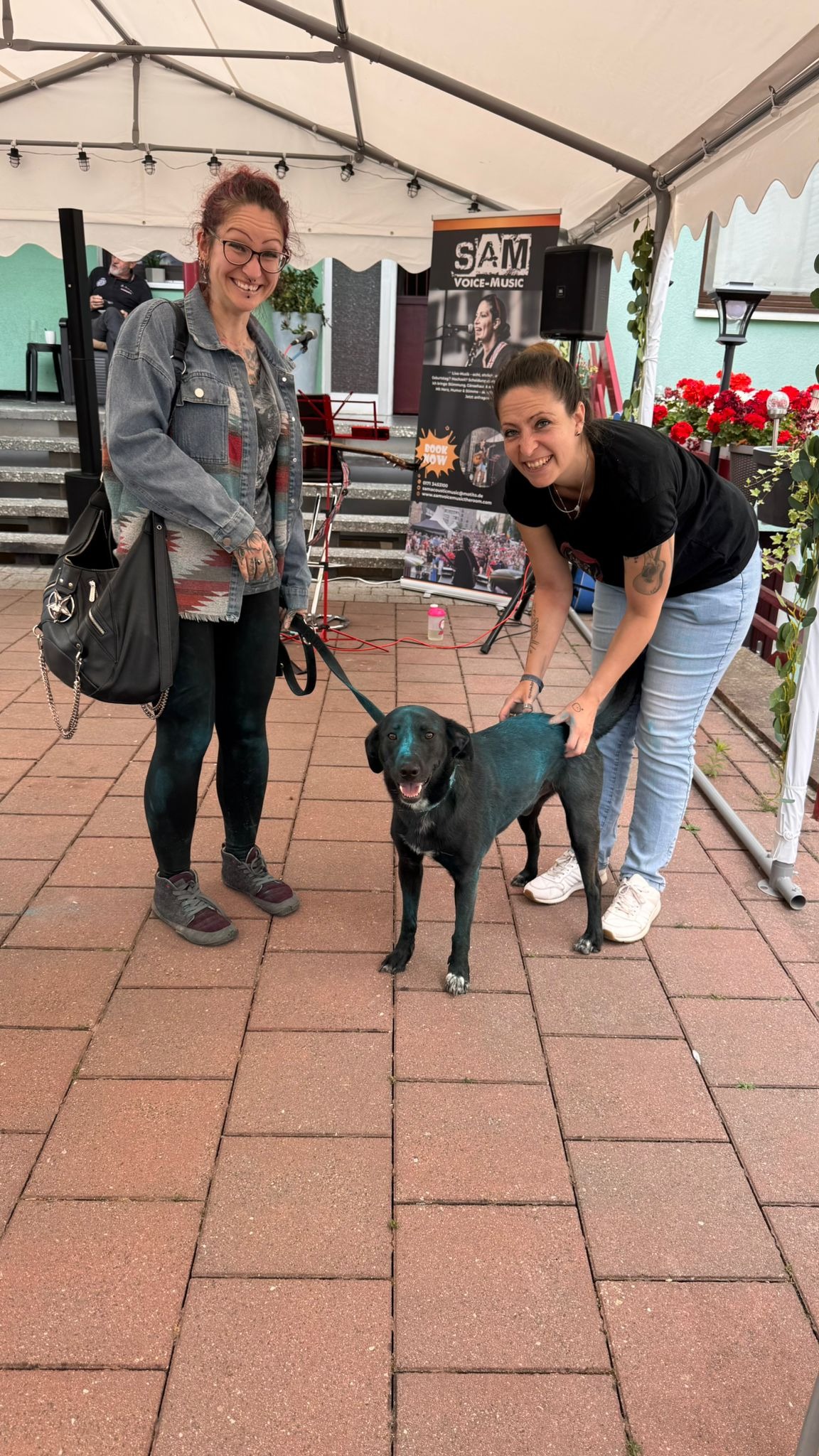 Robin Hund – Wir helfen Hunden in Not. Direkt vor Ort. campaign photo, 4 of 7