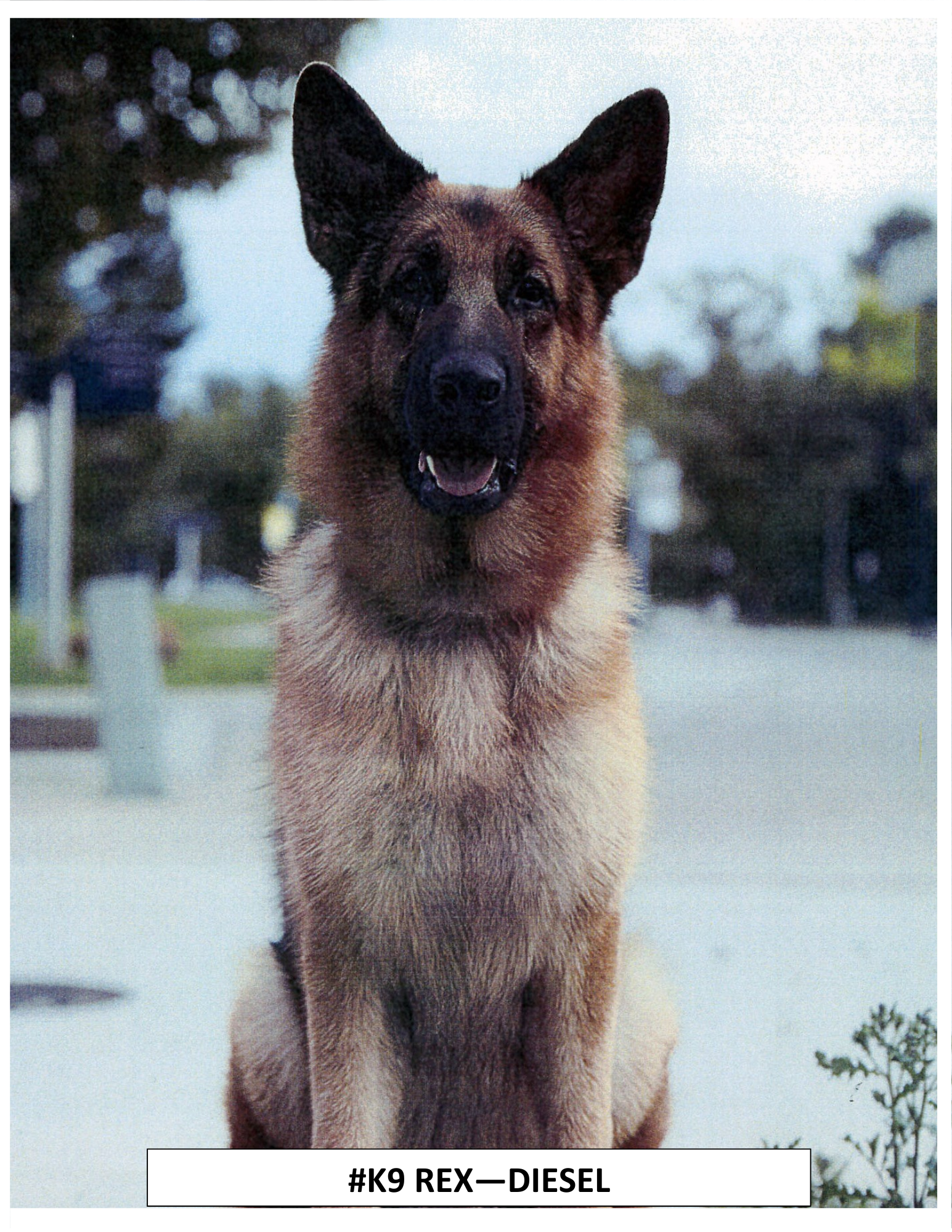 DIESEL'S CHARITY - IN COD WE TRUST campaign photo, 2 of 3