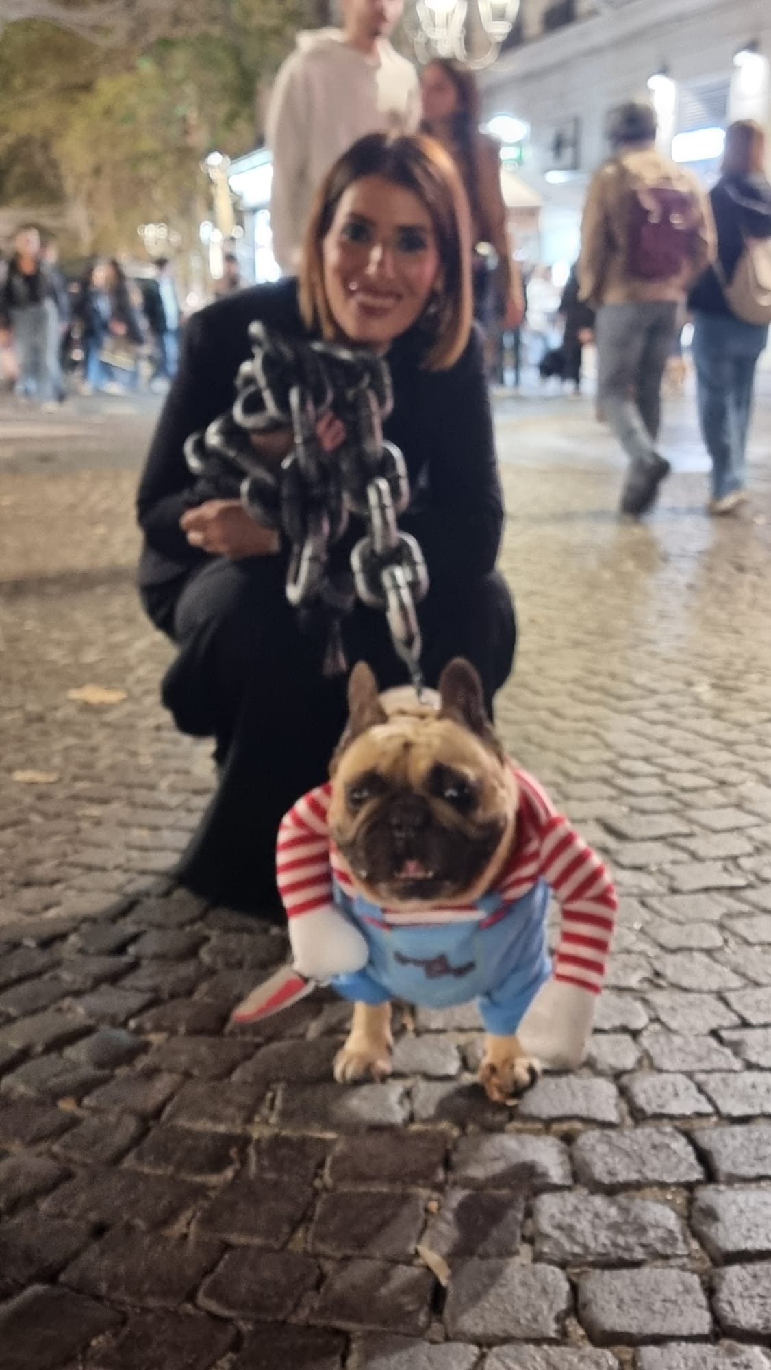 Candidatura in regione Campania per gli animali campaign photo, 5 of 6