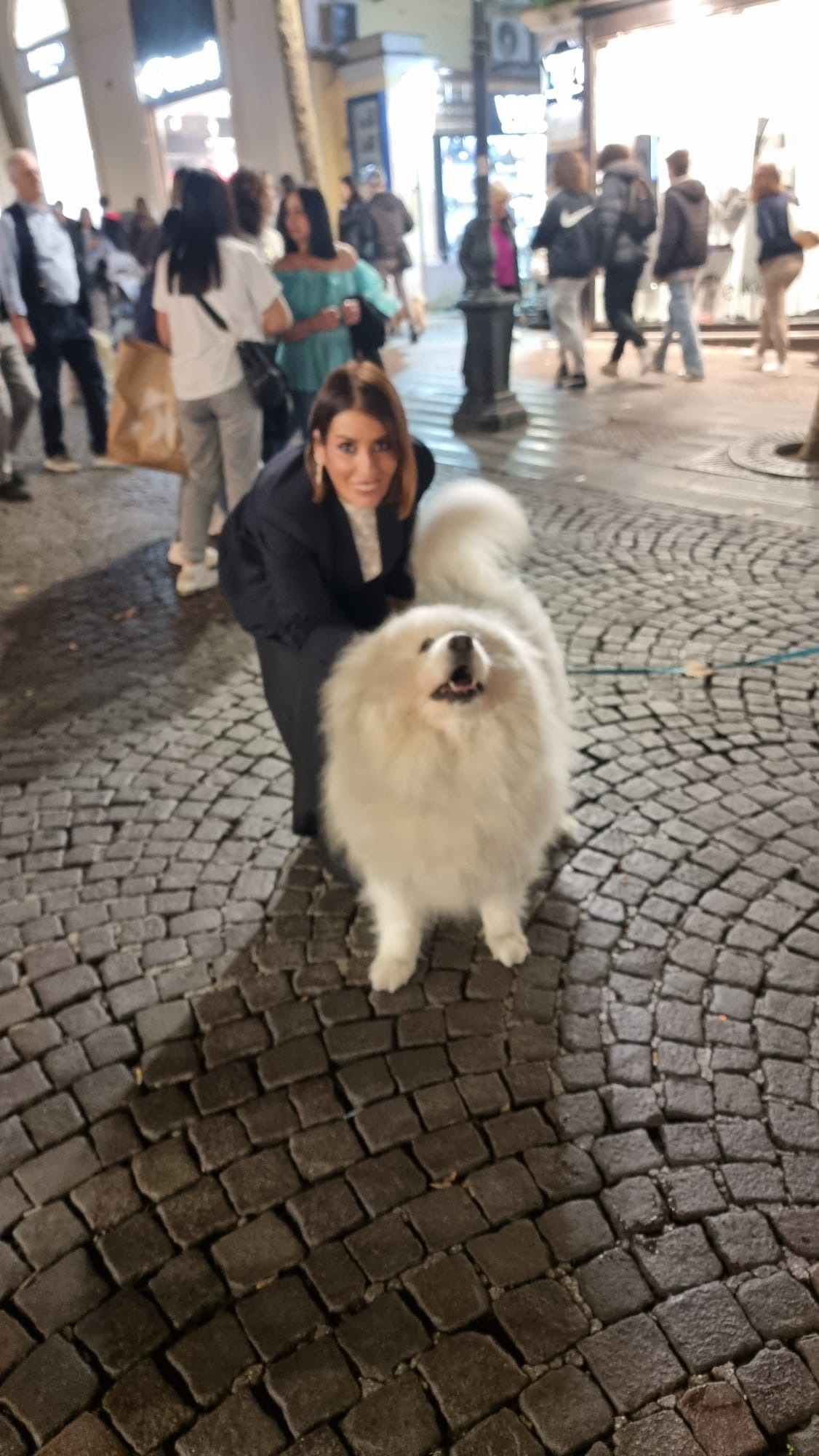 Candidatura in regione Campania per gli animali campaign photo, 4 of 6